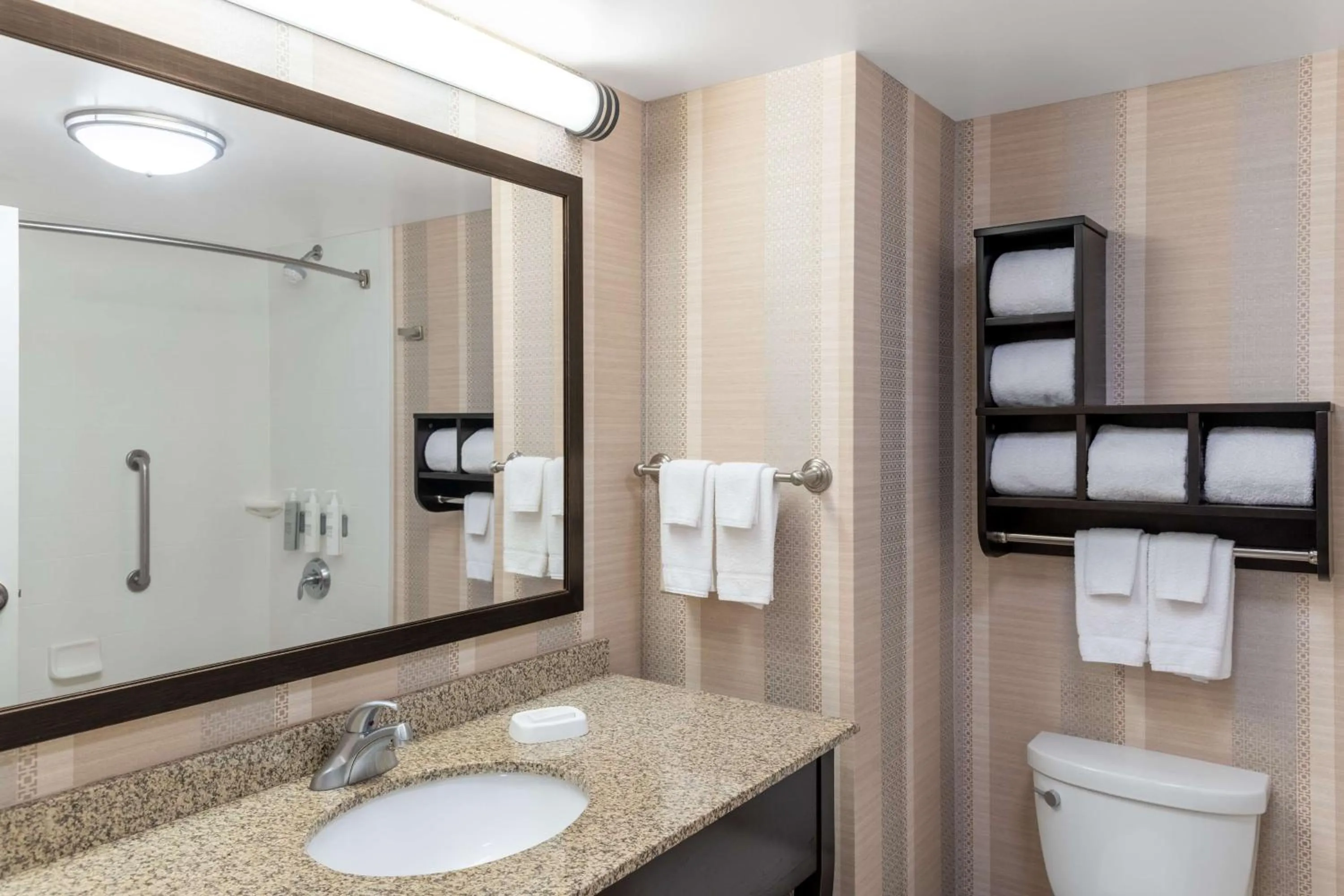 Bathroom in Hampton Inn & Suites Madison Downtown