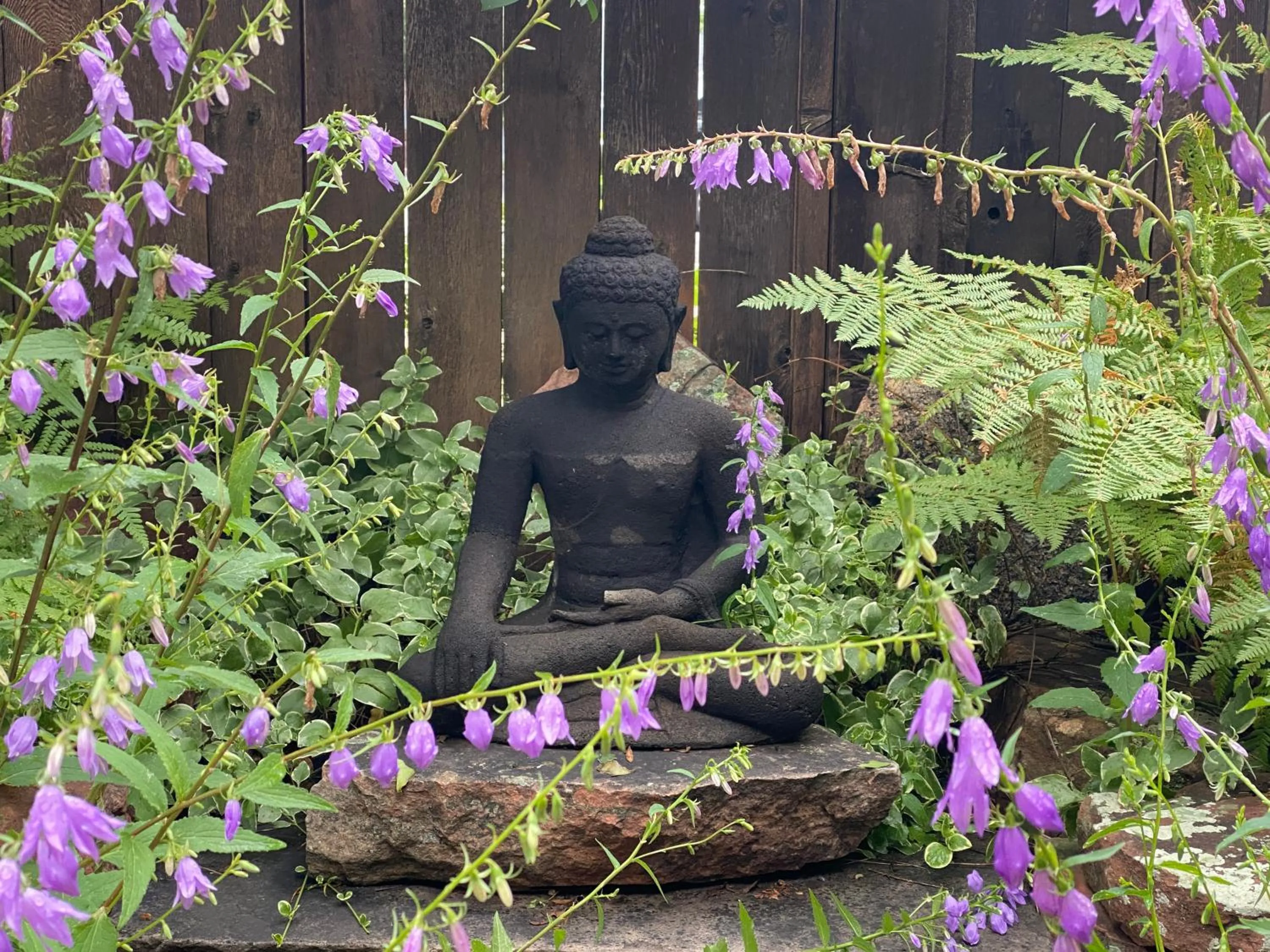 Garden in Boulder Guest House
