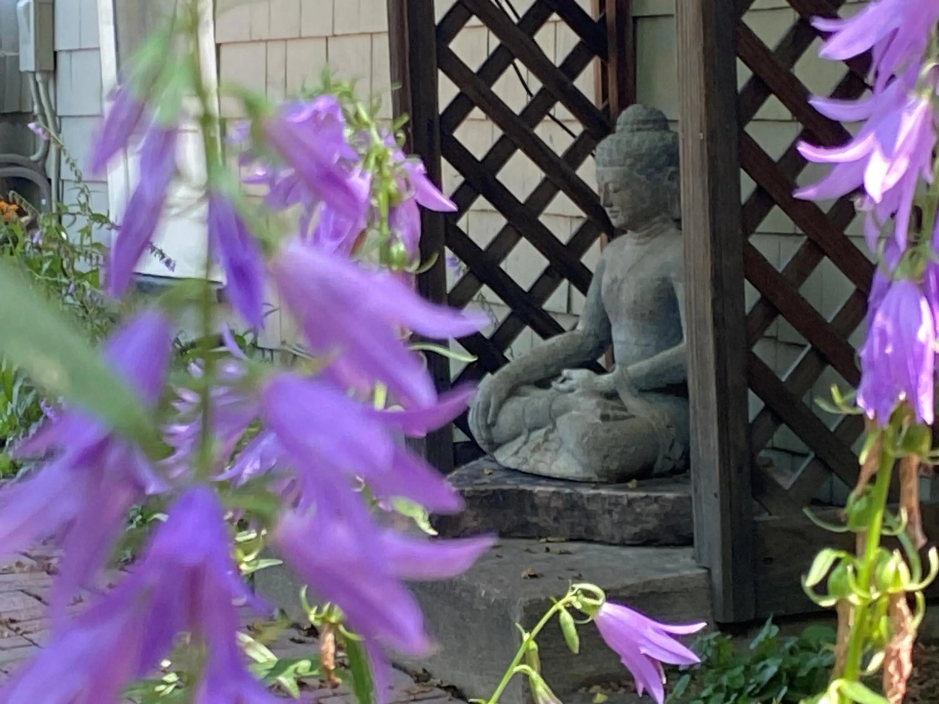 Garden in Boulder Guest House