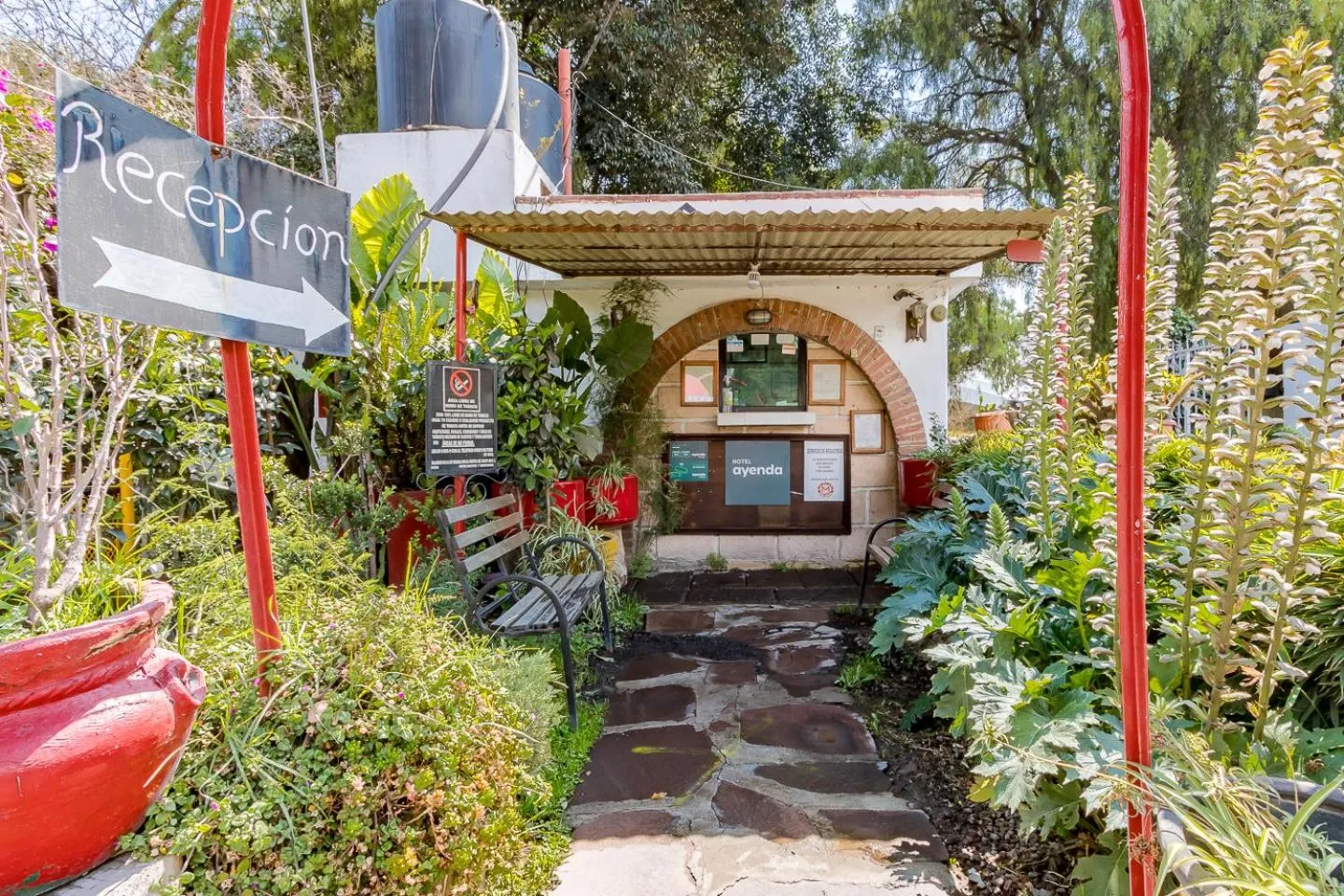Lobby or reception in Ayenda Mesón del Río
