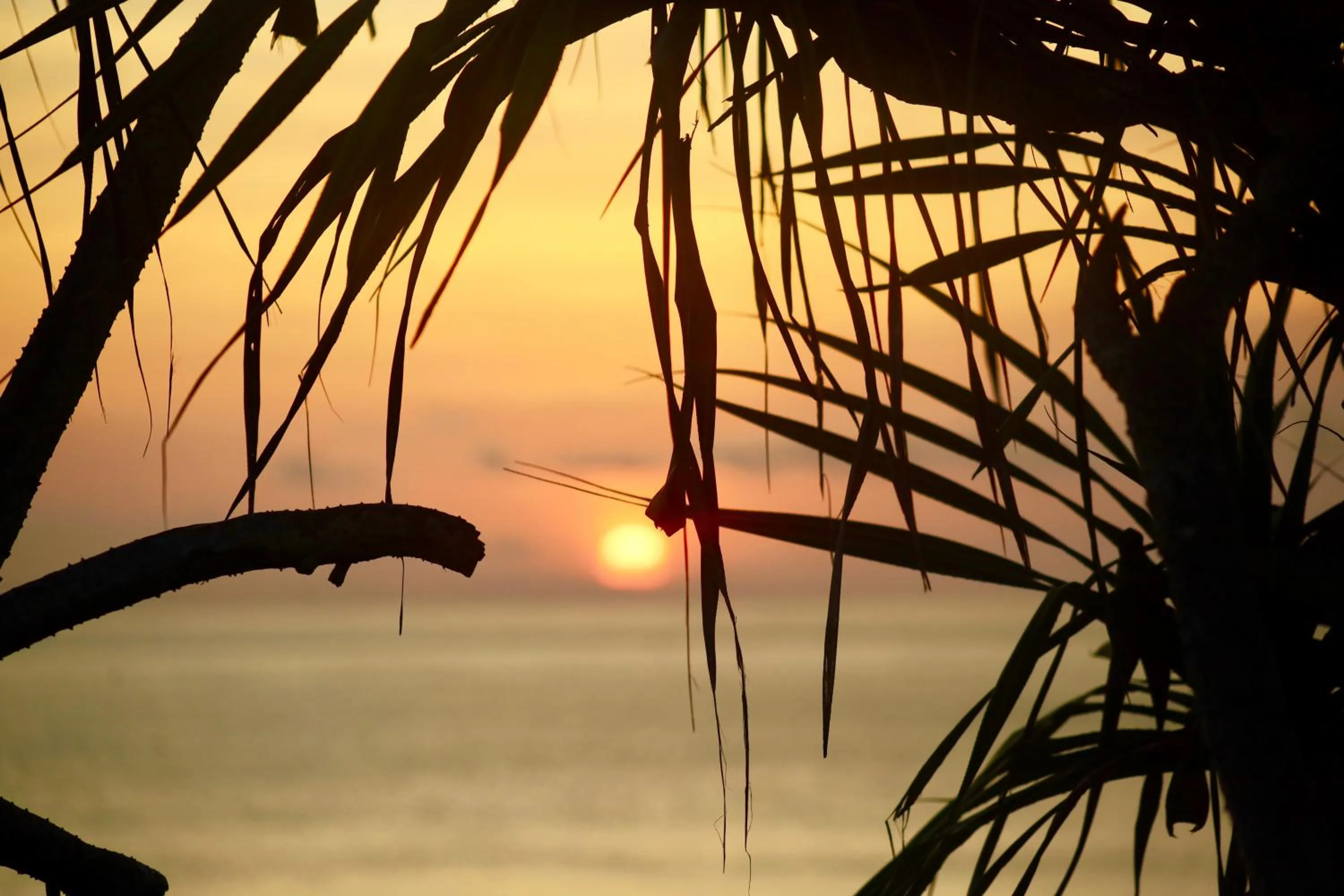 Natural landscape in The Palms Ceningan Hotel