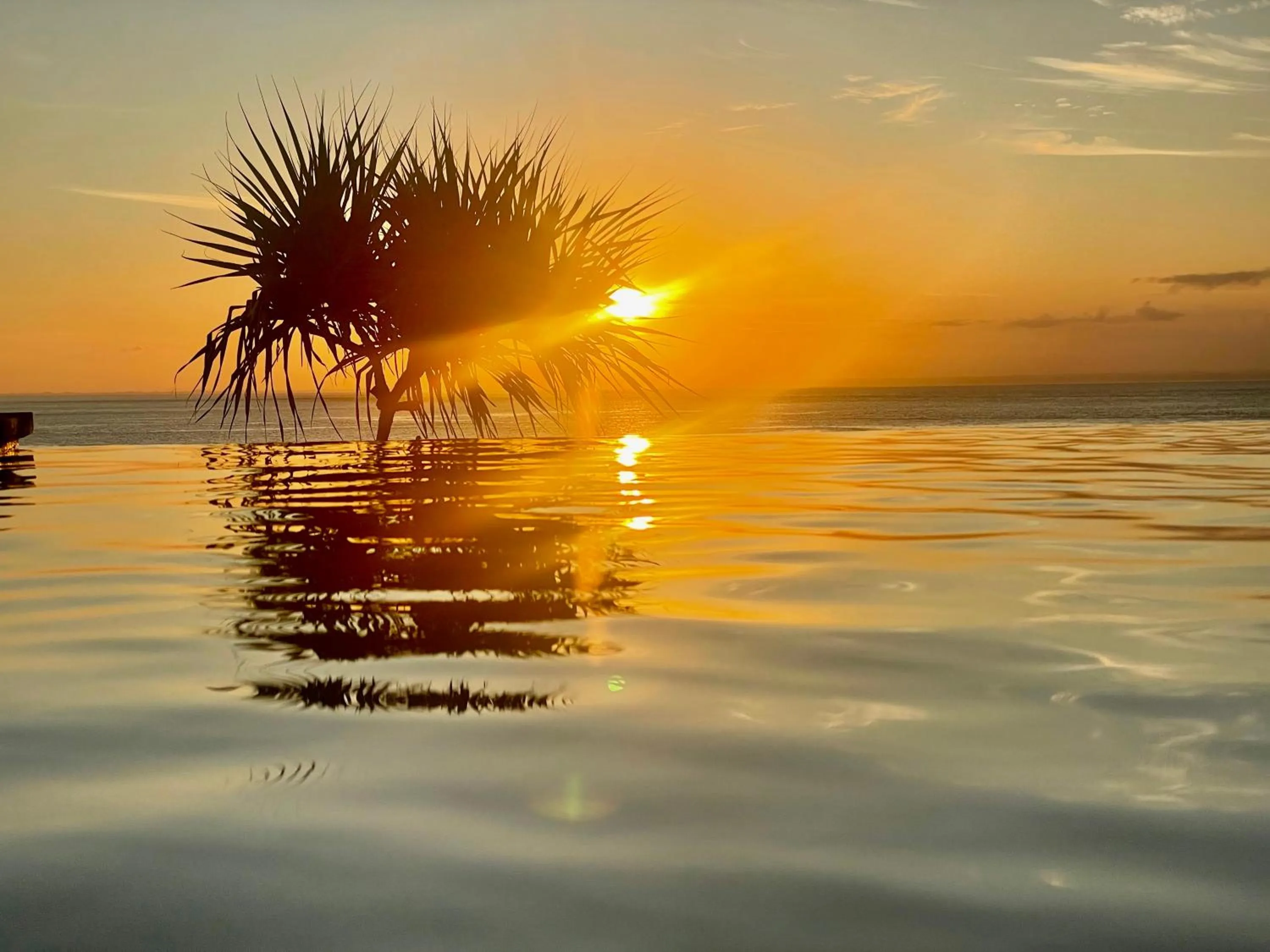 Natural landscape in The Palms Ceningan Hotel