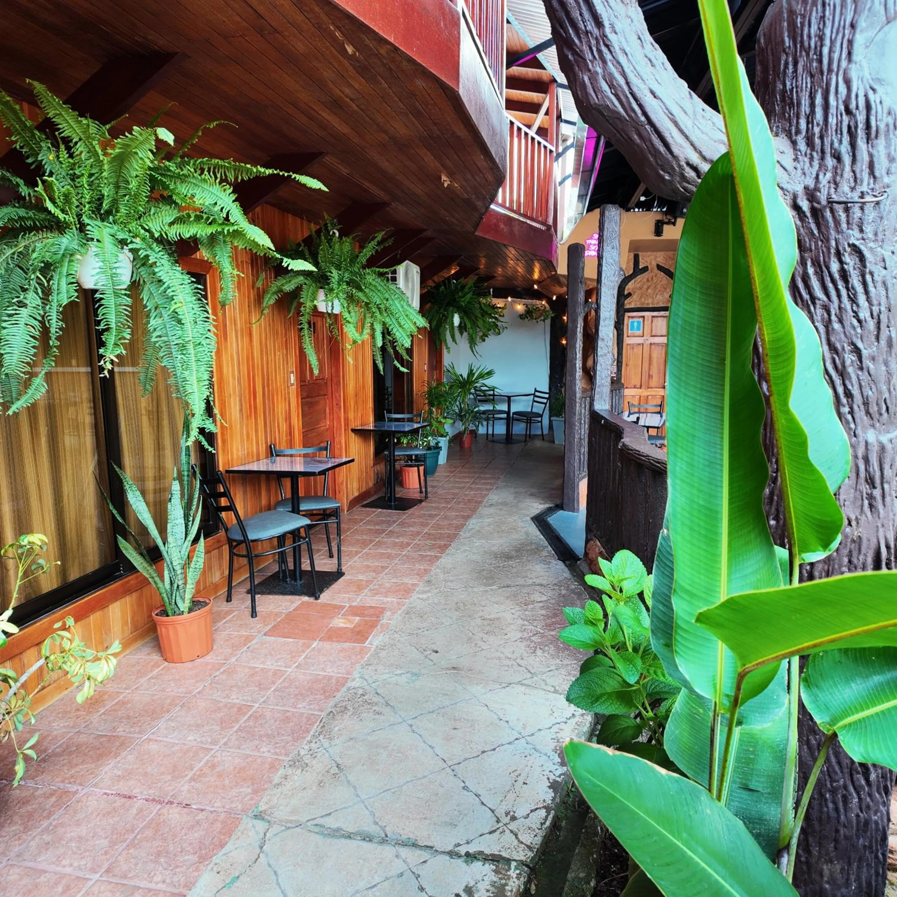 Patio in Poshtel Arenal