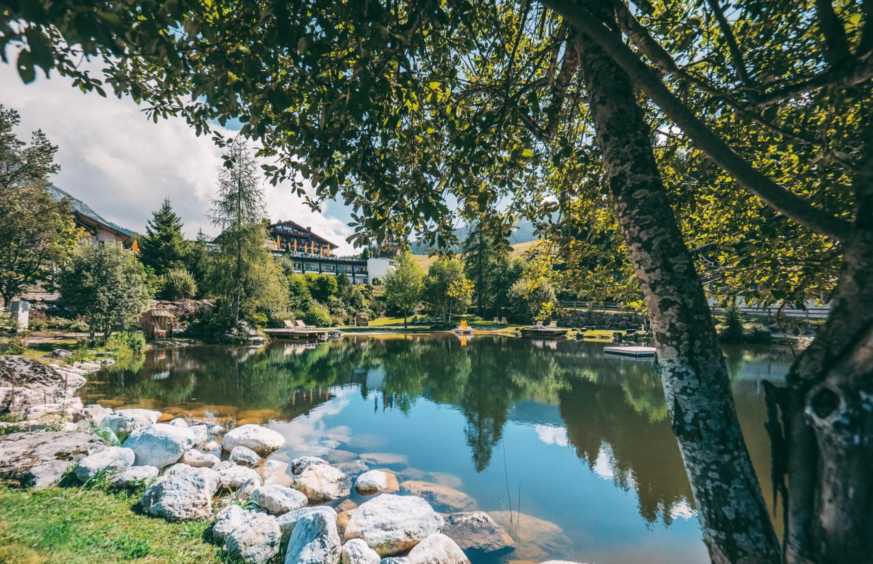 Natural landscape in Übergossene Alm Resort