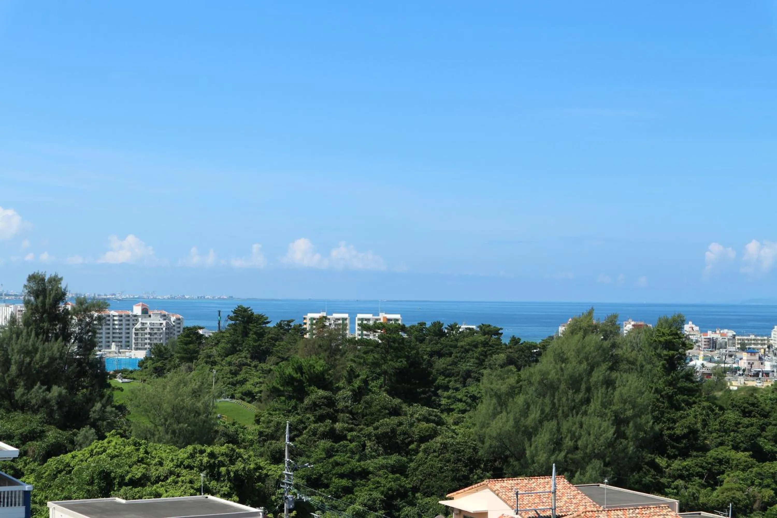 View (from property/room) in Eagle Lodge