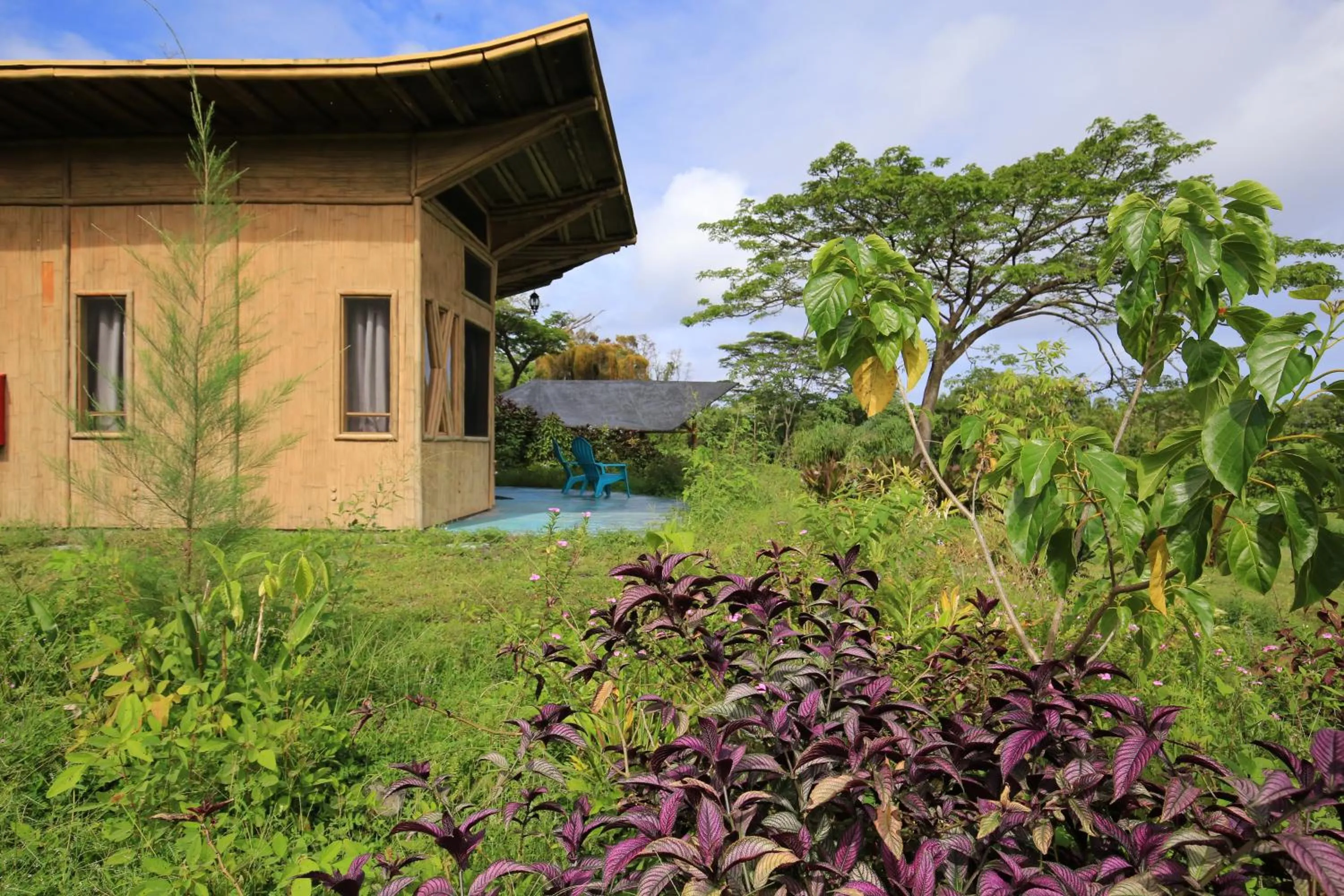 Property building in Kalani Oceanside Retreat