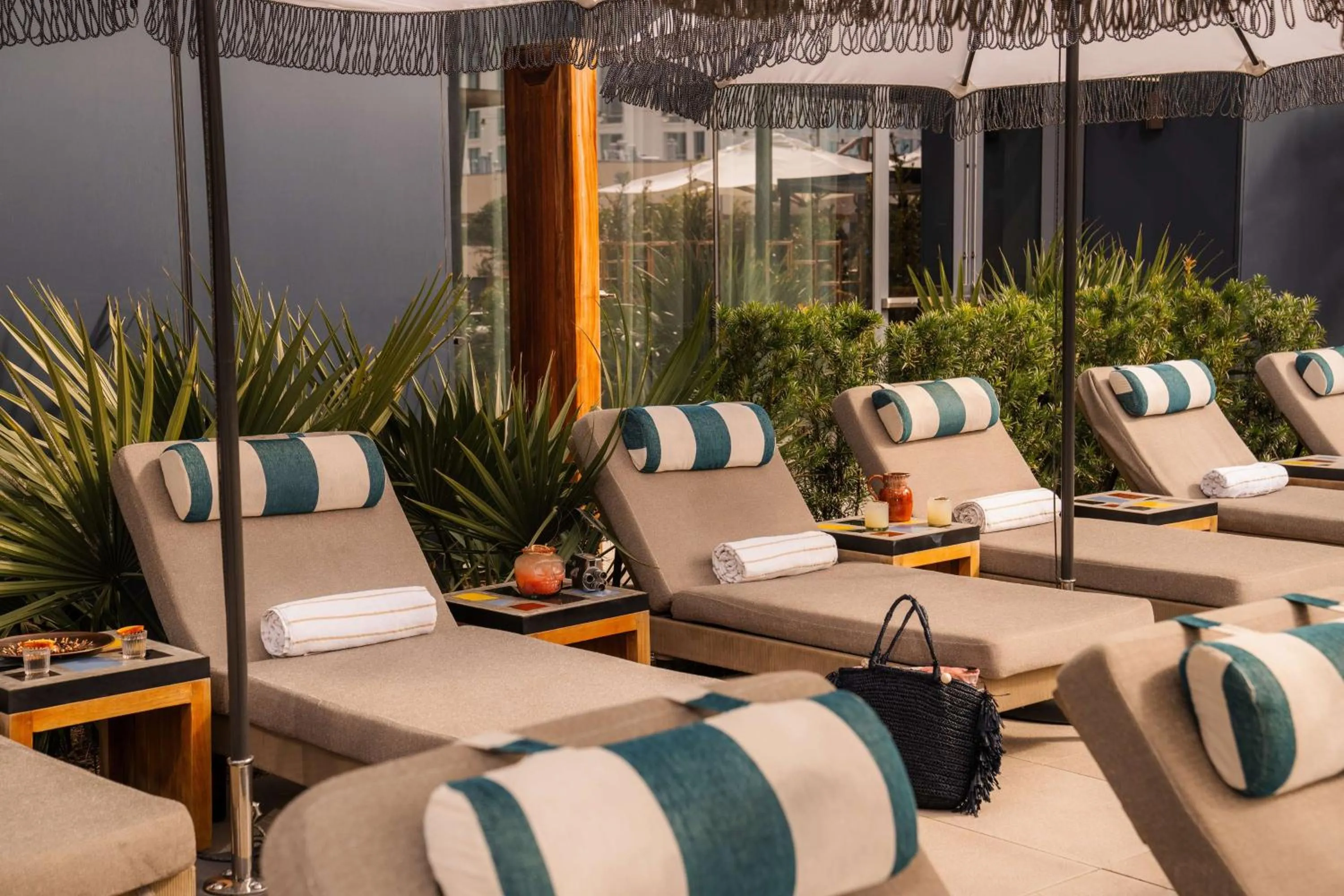 Swimming pool in Thompson Austin, by Hyatt