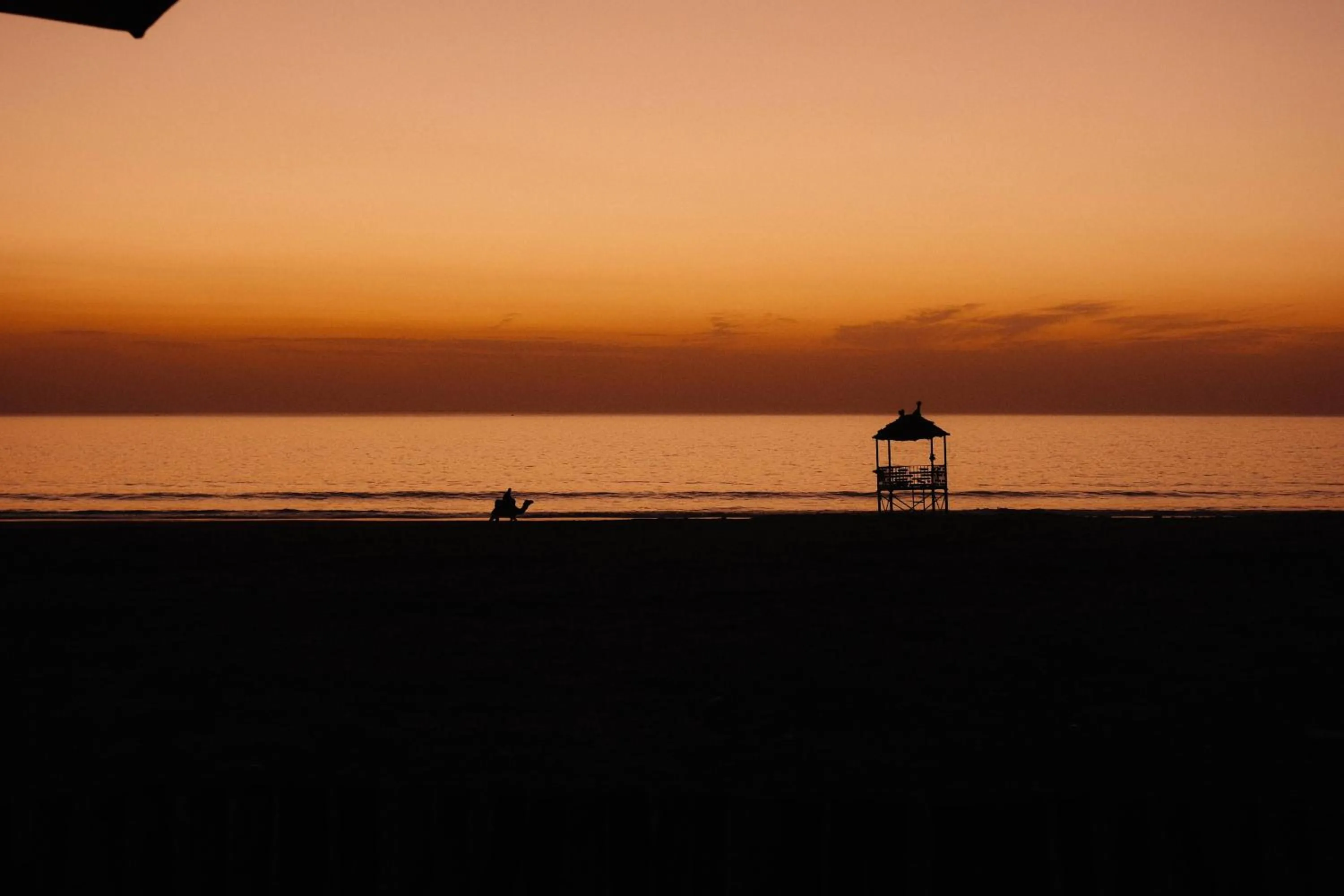 Hyatt Regency Taghazout
