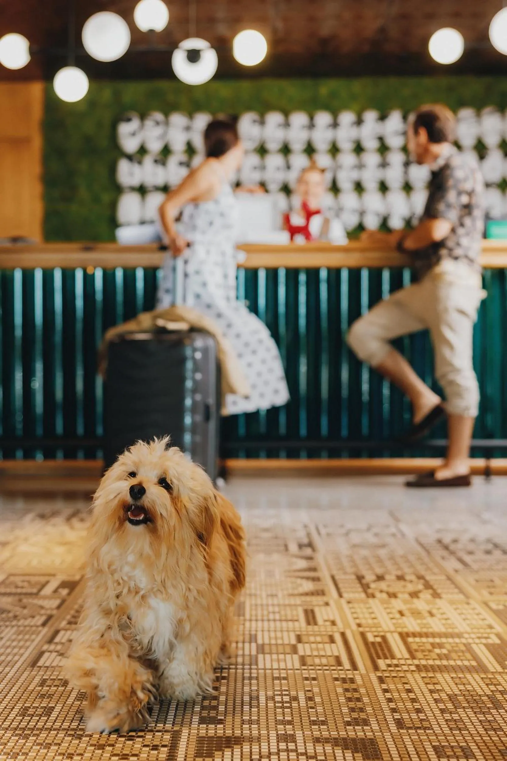 People in ONE66 Hotel