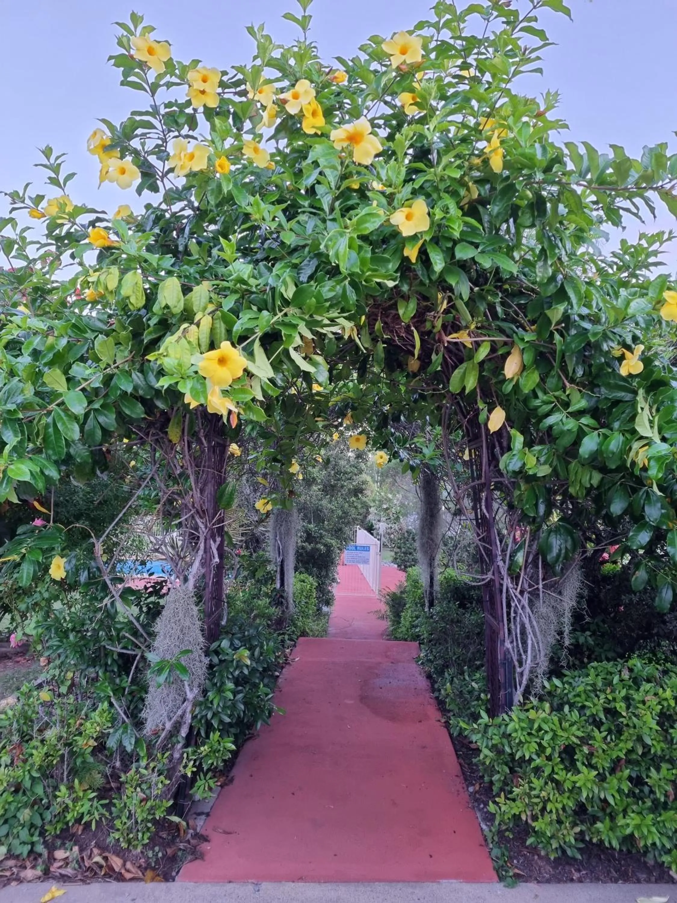Garden view in Benaraby Hilltop MotorInn