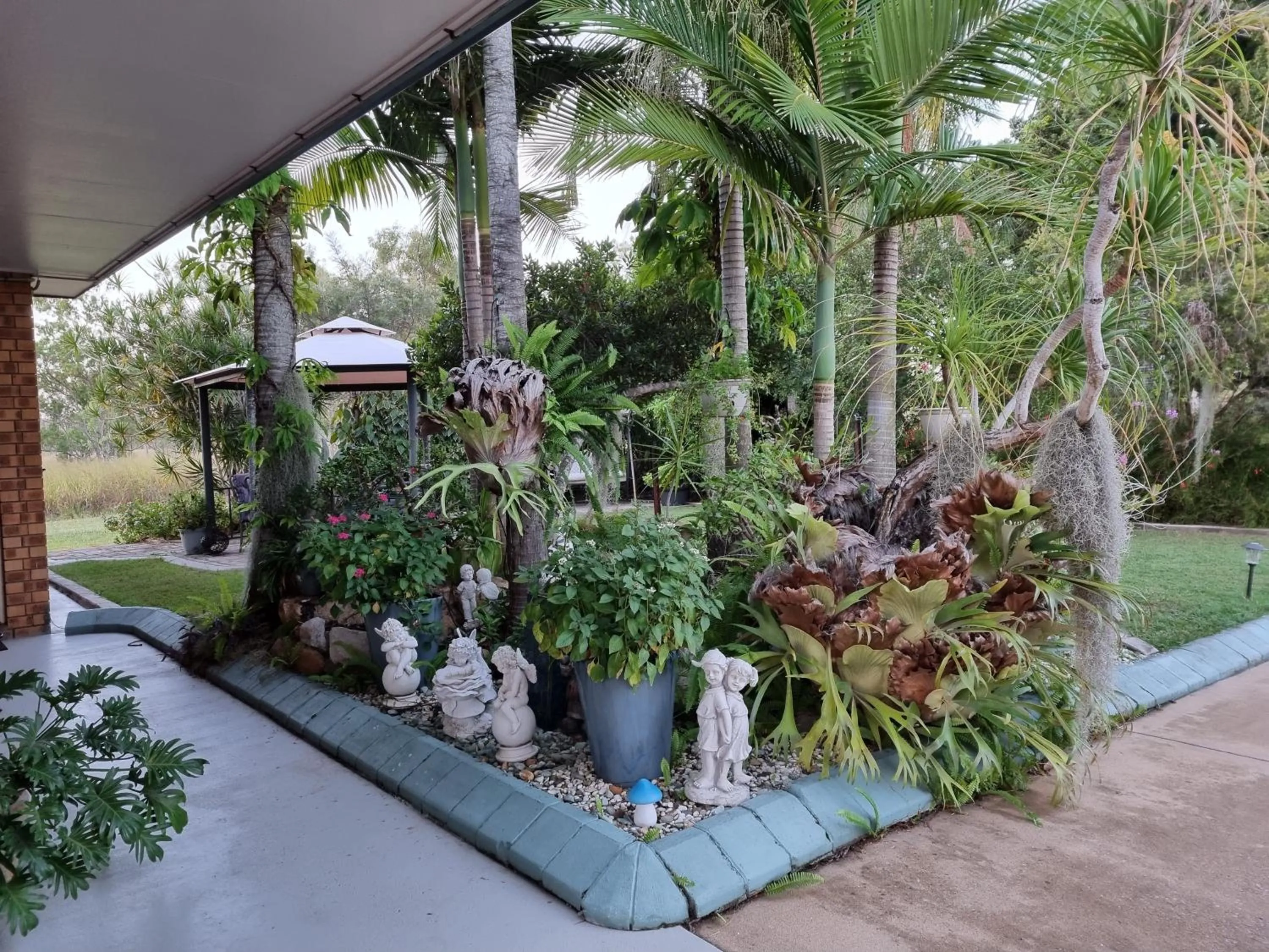 Garden view in Benaraby Hilltop MotorInn