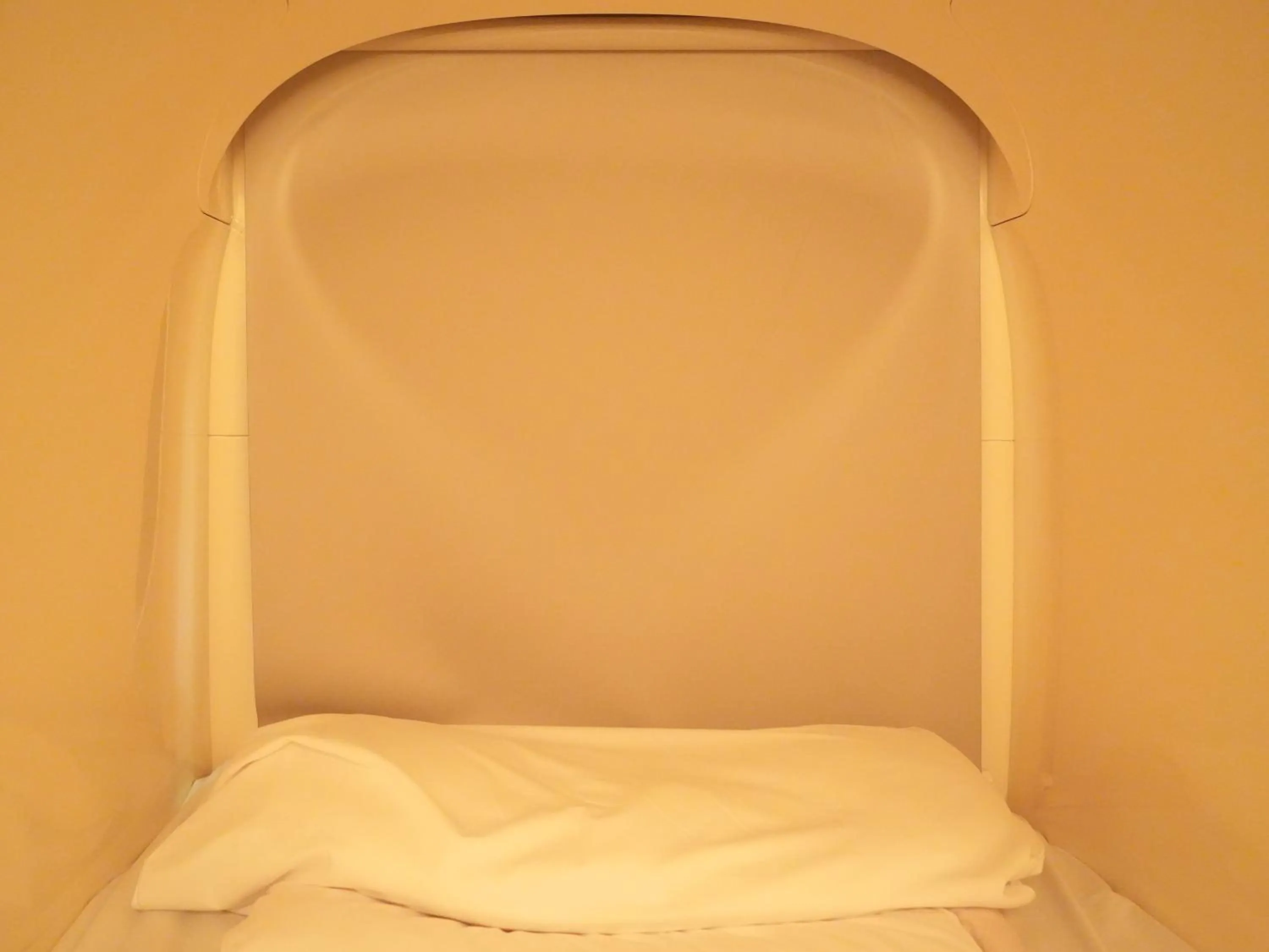 Photo of the whole room, Bed in Rembrandt Cabin Shinjuku Shin-Okubo