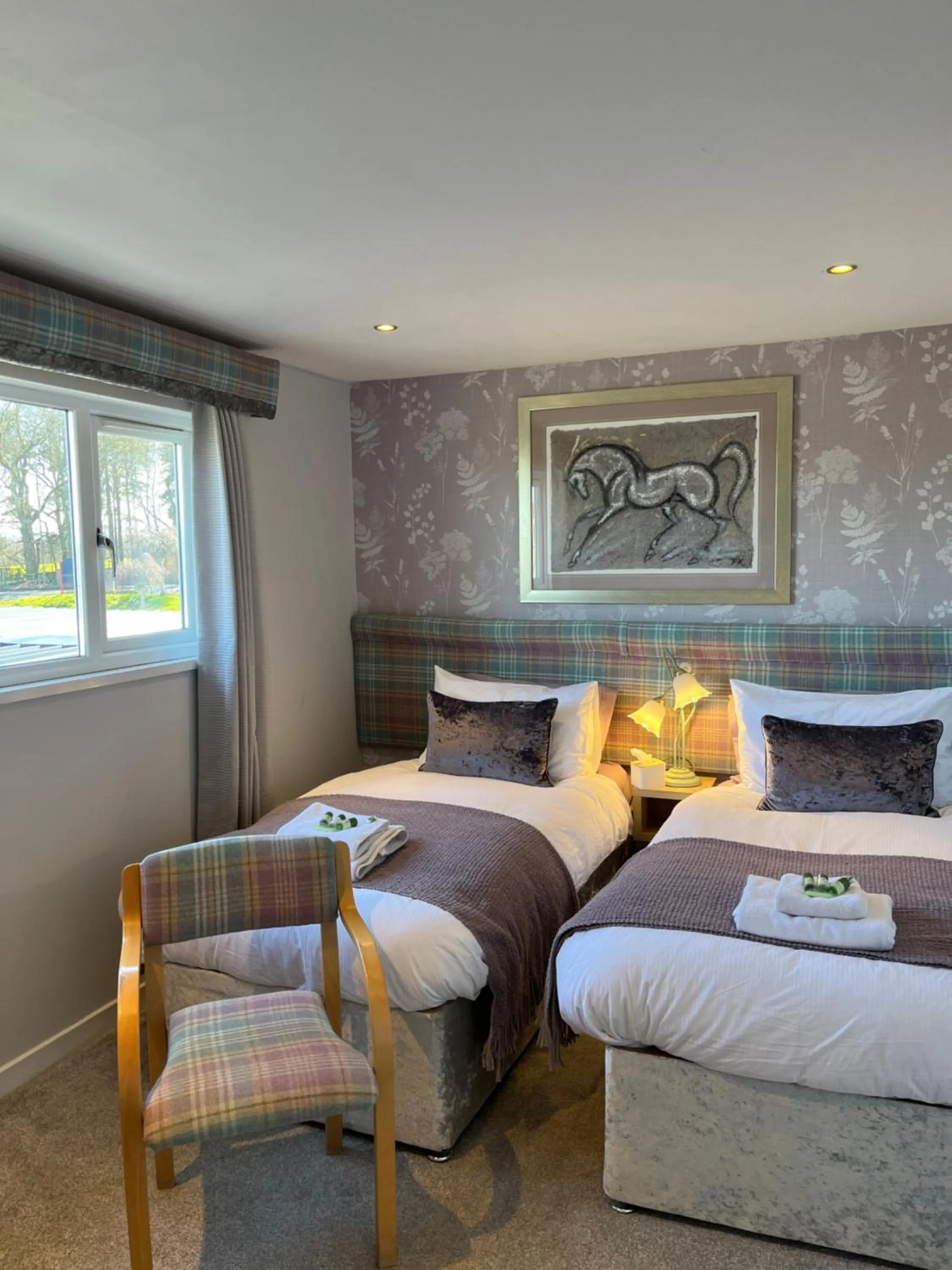 Scottish Equi B&B