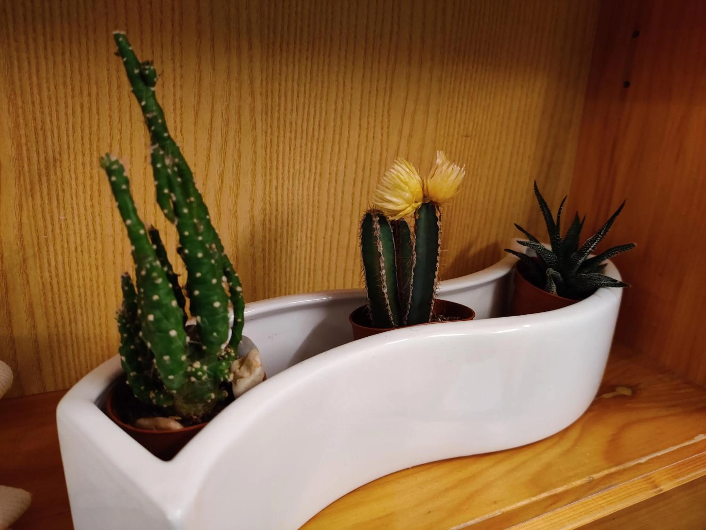 Property building in B&B La Fosina