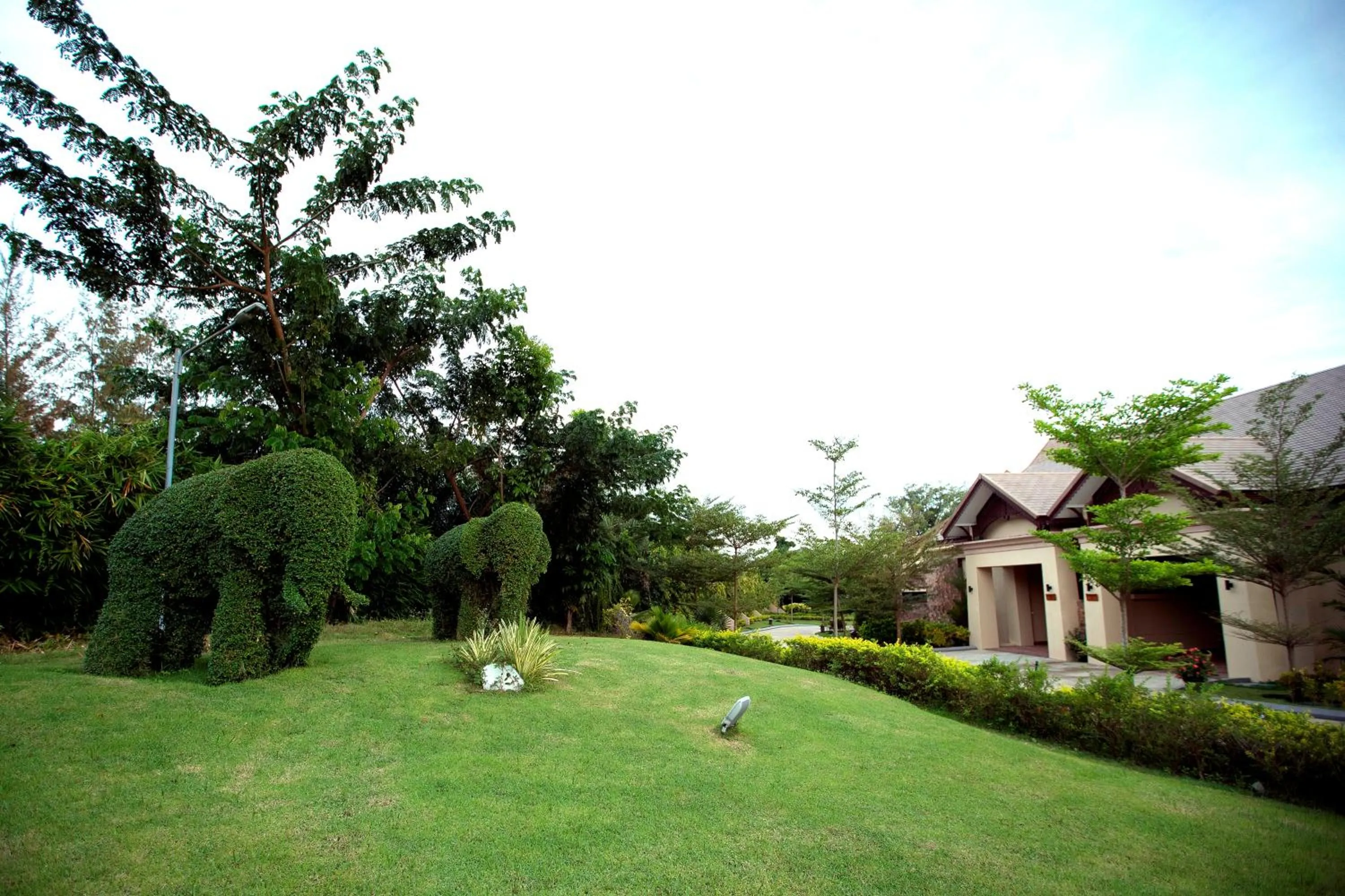 Natural landscape in Emerald Palace Hotel