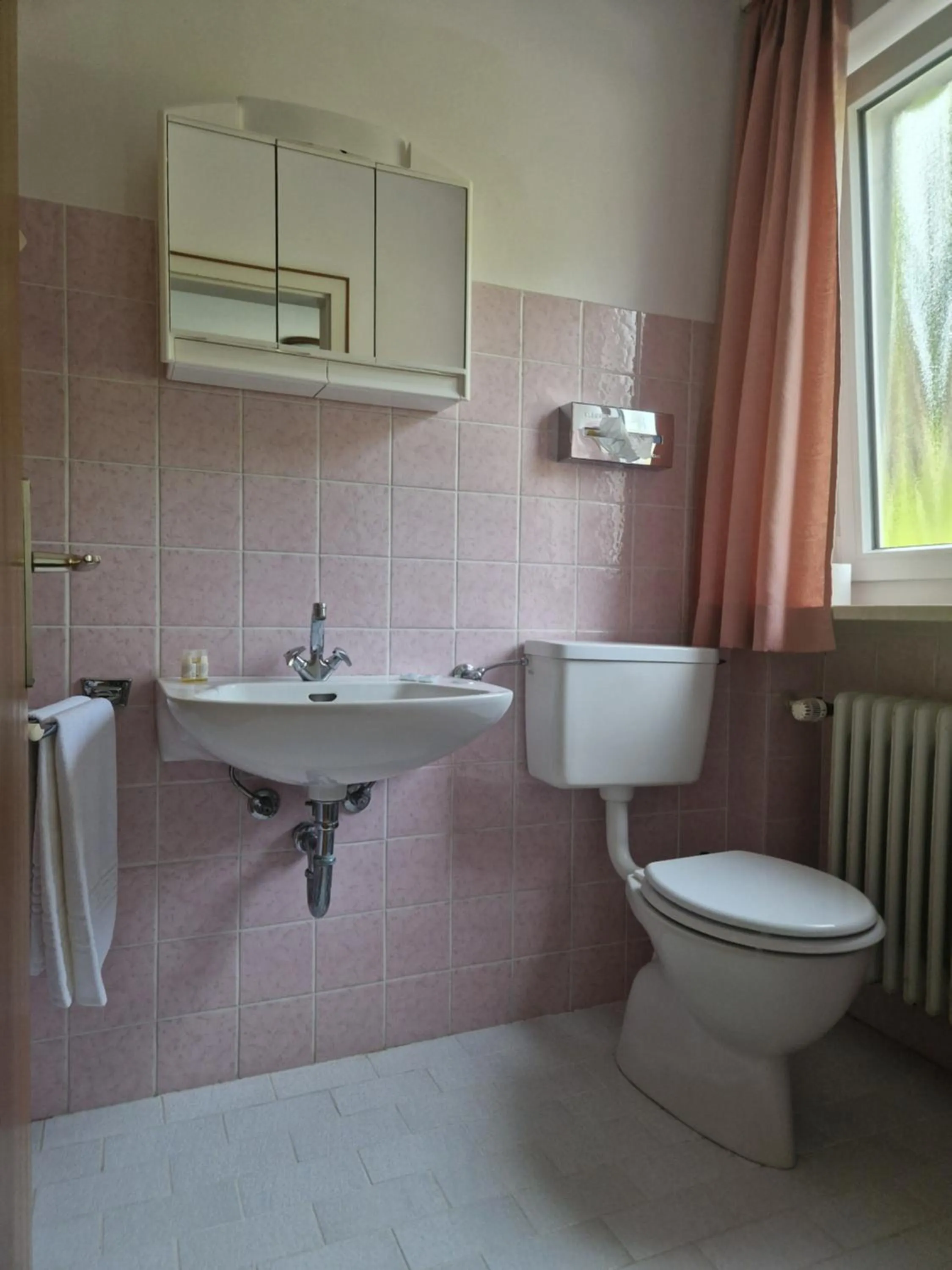 Bathroom in HOTEL WALDHORN