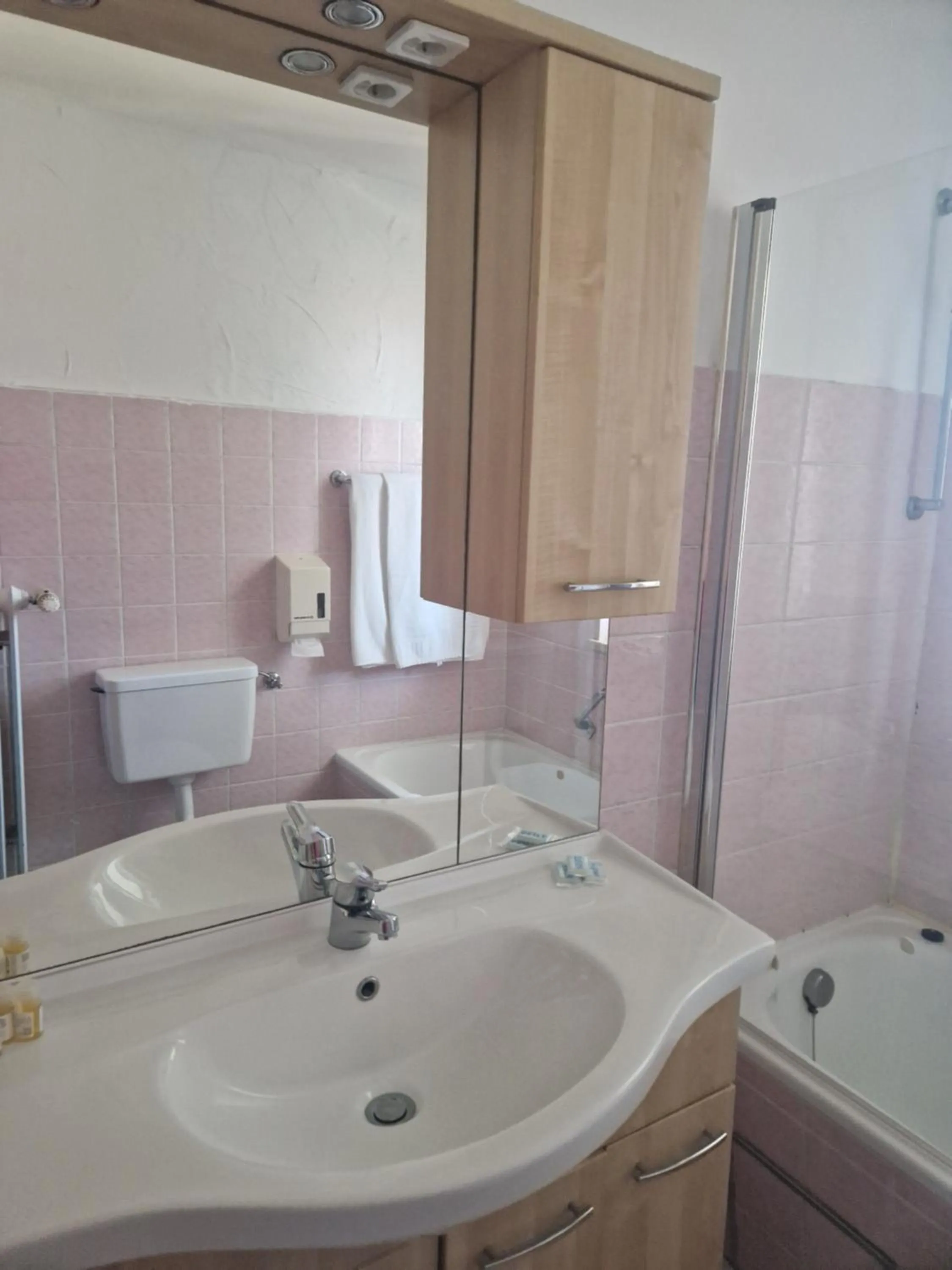 Bathroom in HOTEL WALDHORN