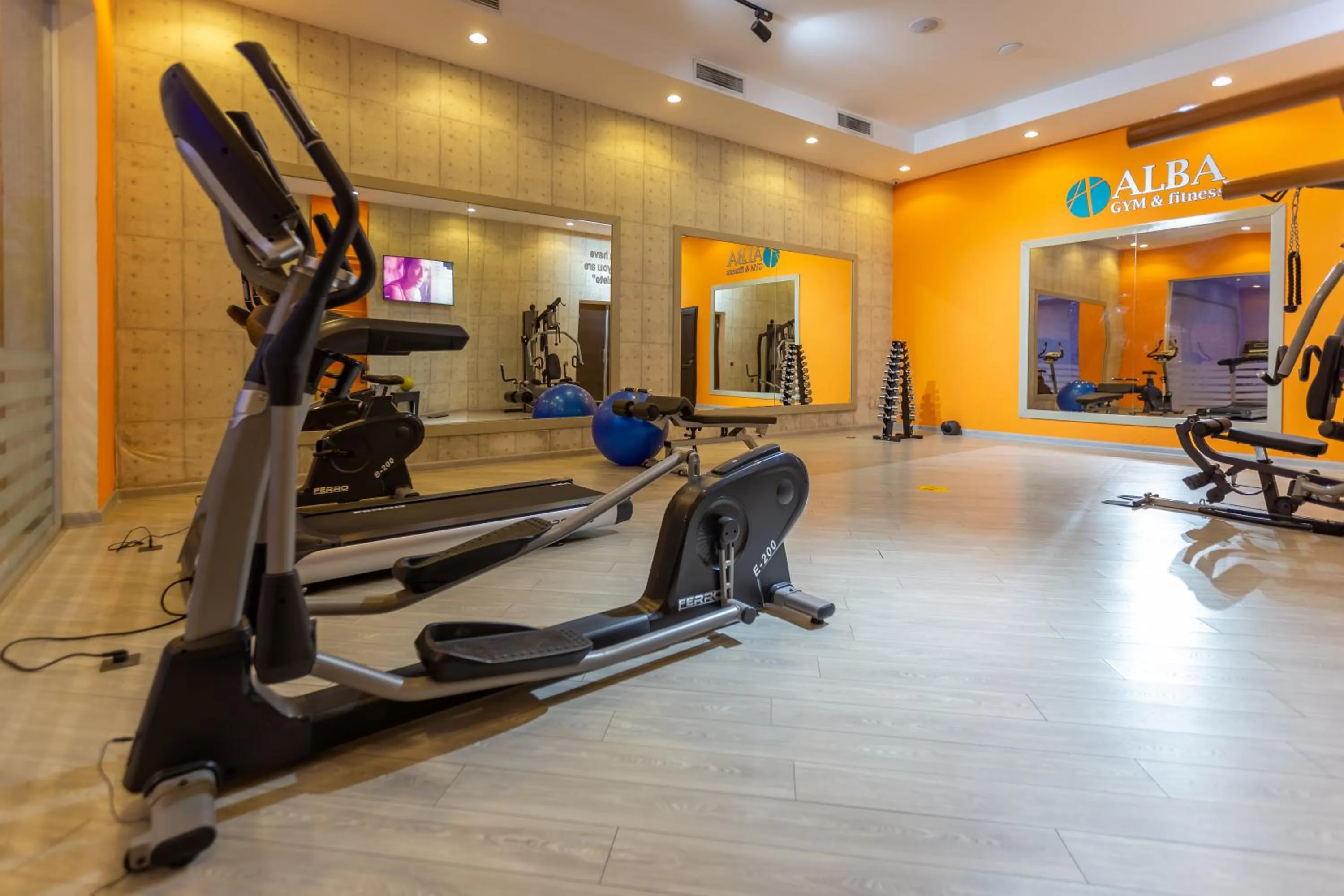 Fitness centre/facilities in ALBA HOTEL & SPA