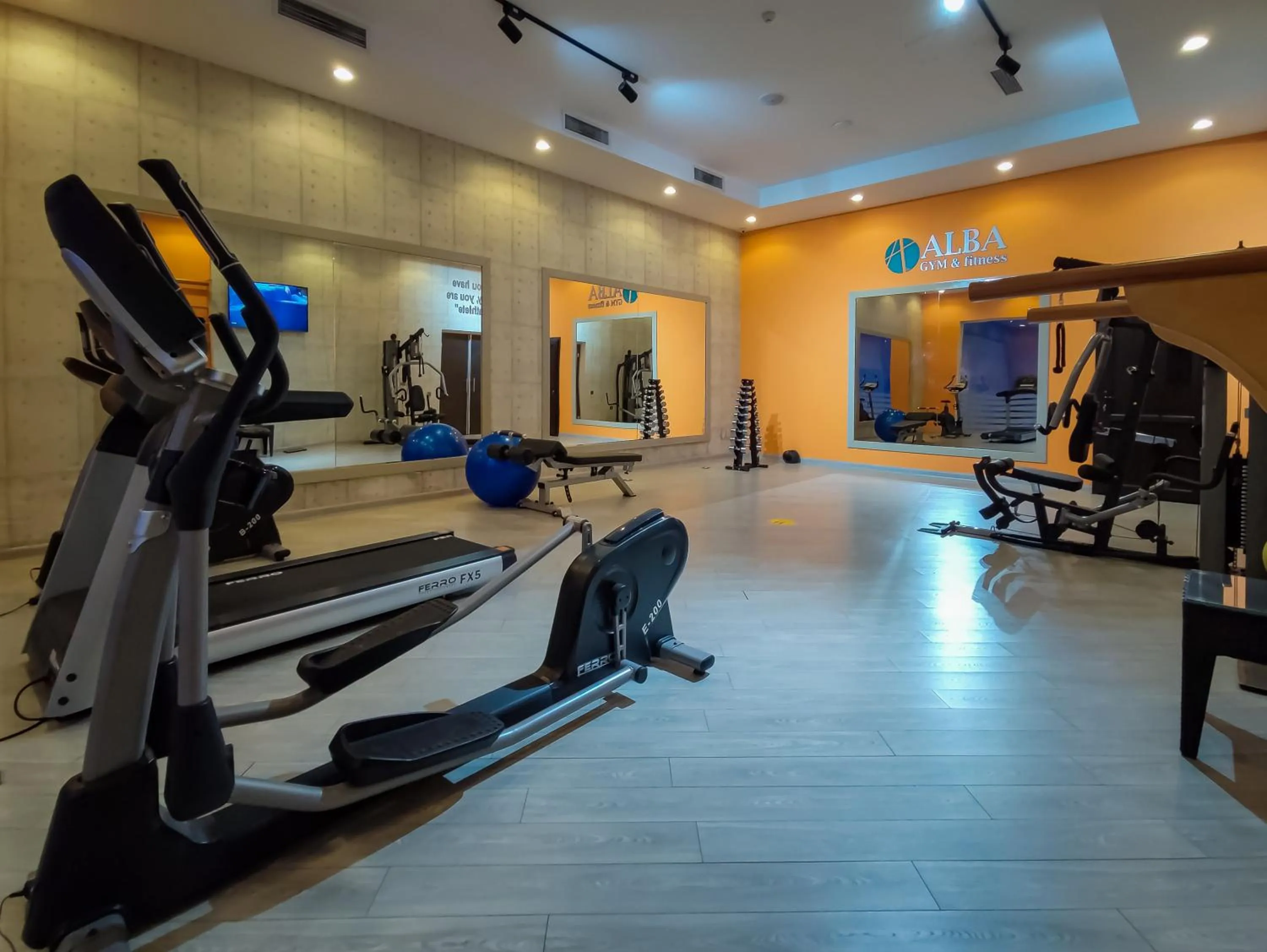 Fitness centre/facilities in ALBA HOTEL & SPA
