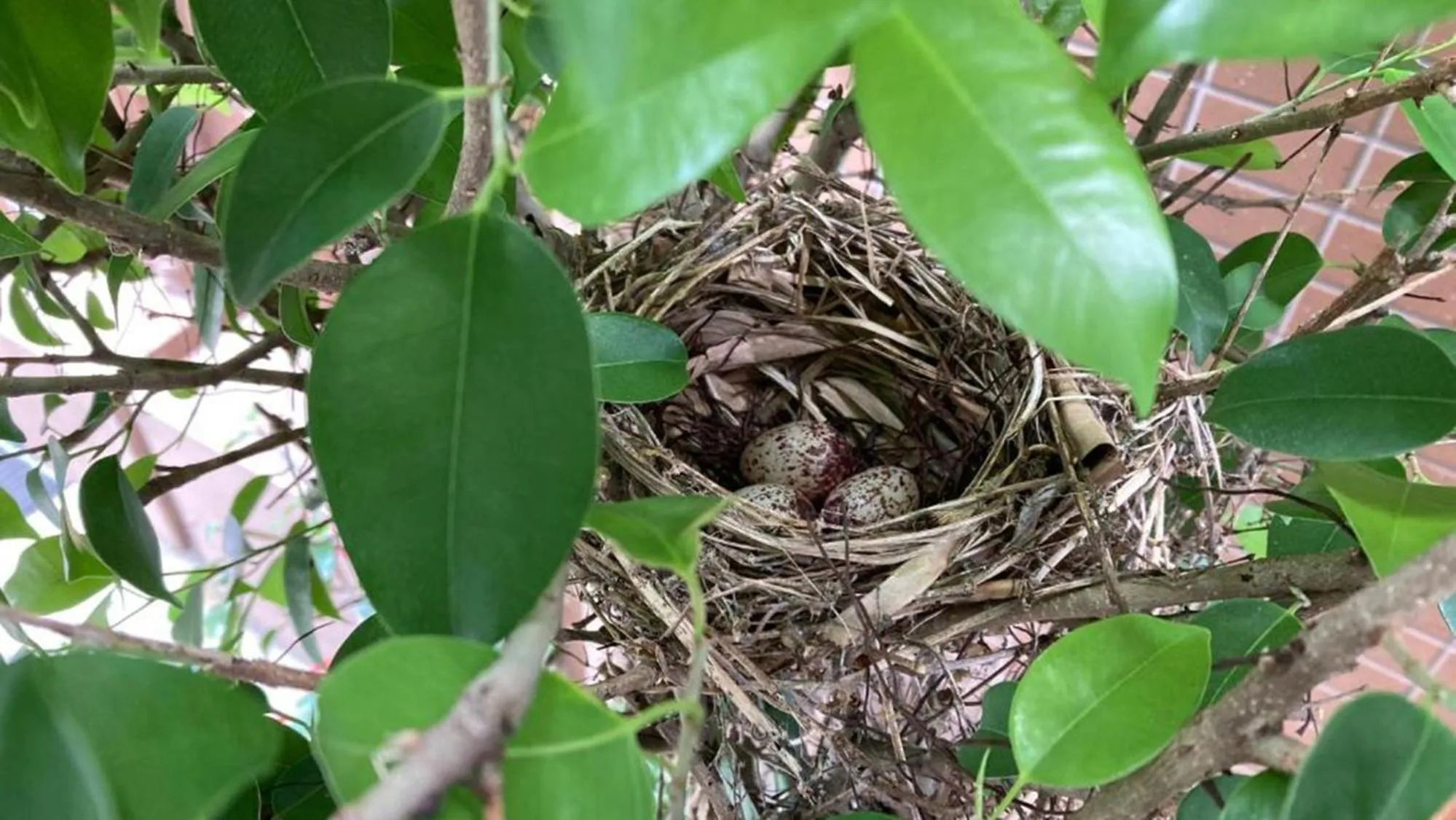 Other in Toyoko Inn Naha Omoromachi Ekimae