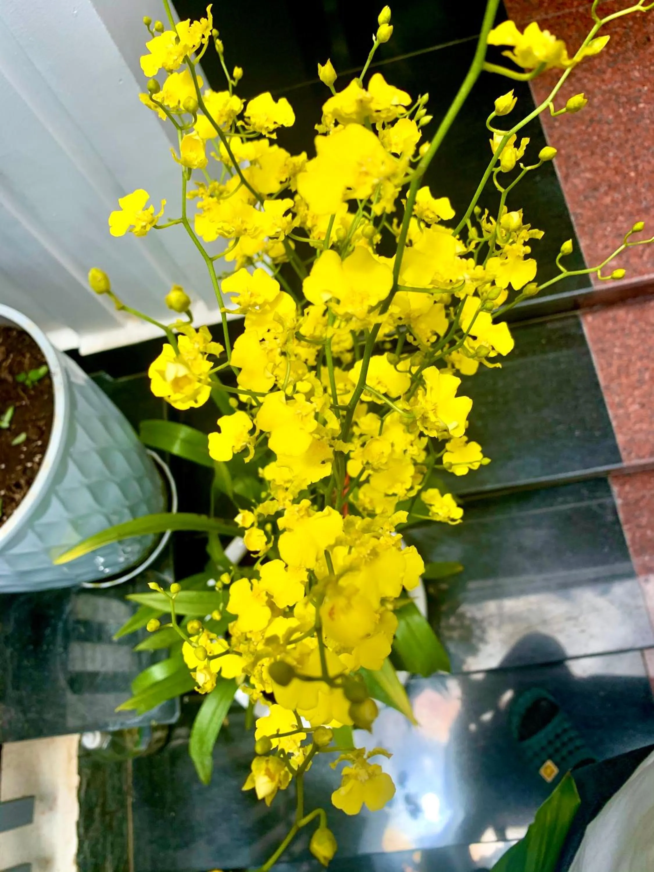 Patio in Family Homestay Dalat Casa