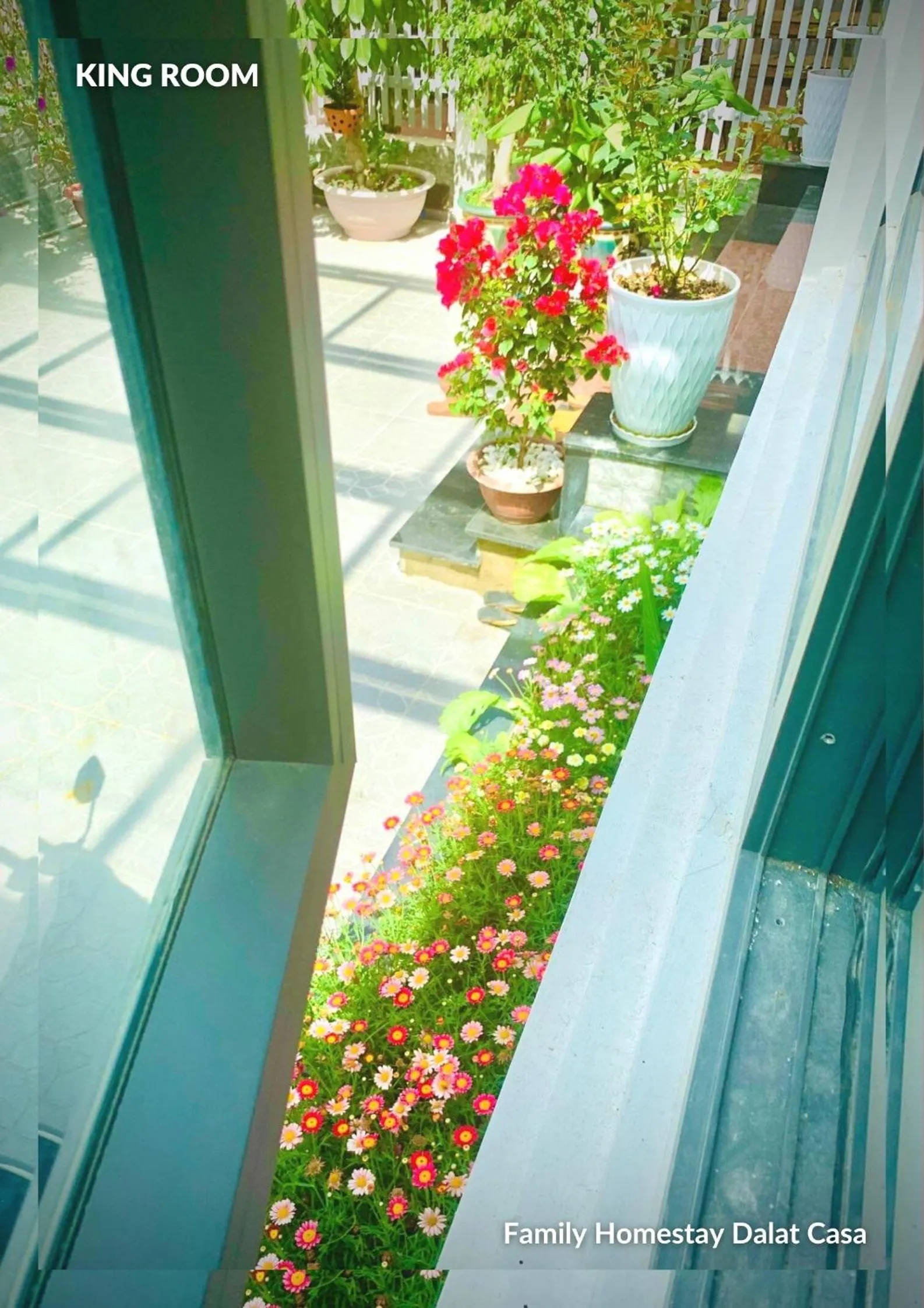 Patio in Family Homestay Dalat Casa