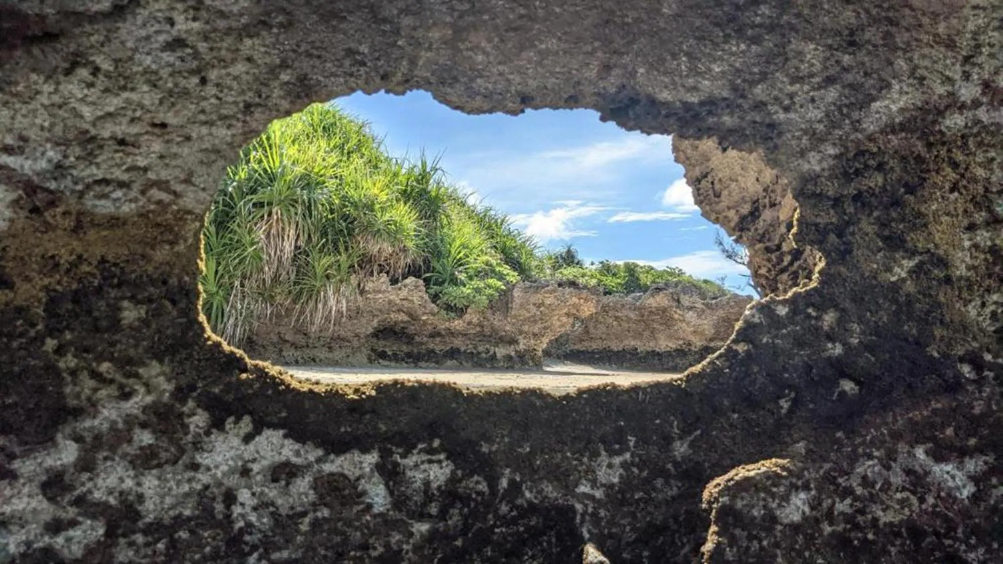 Natural landscape in Toyoko Inn Okinawa Ishigaki-jima