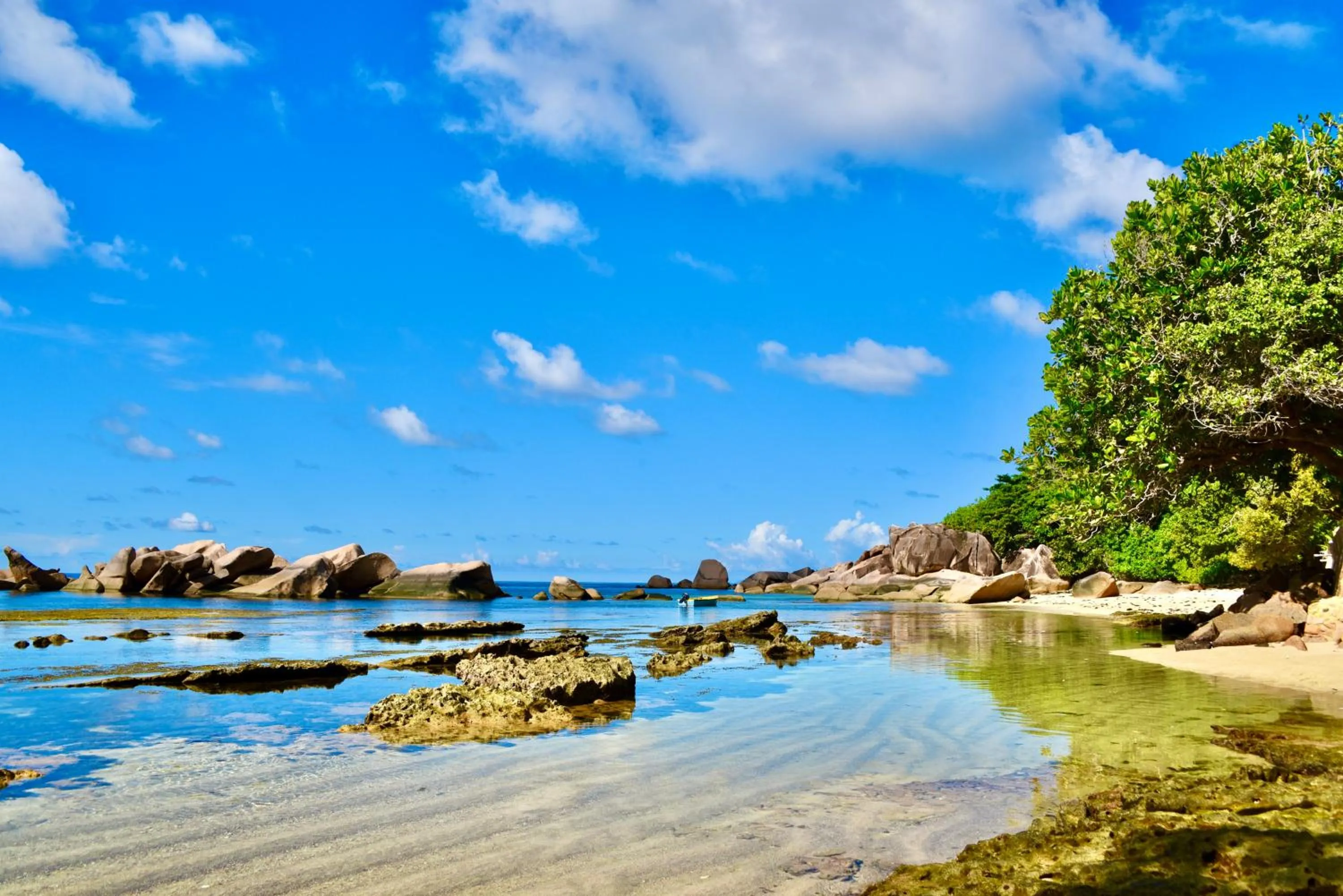 Beach in SEA SPLASH SELF CATERING And La Petite Maison