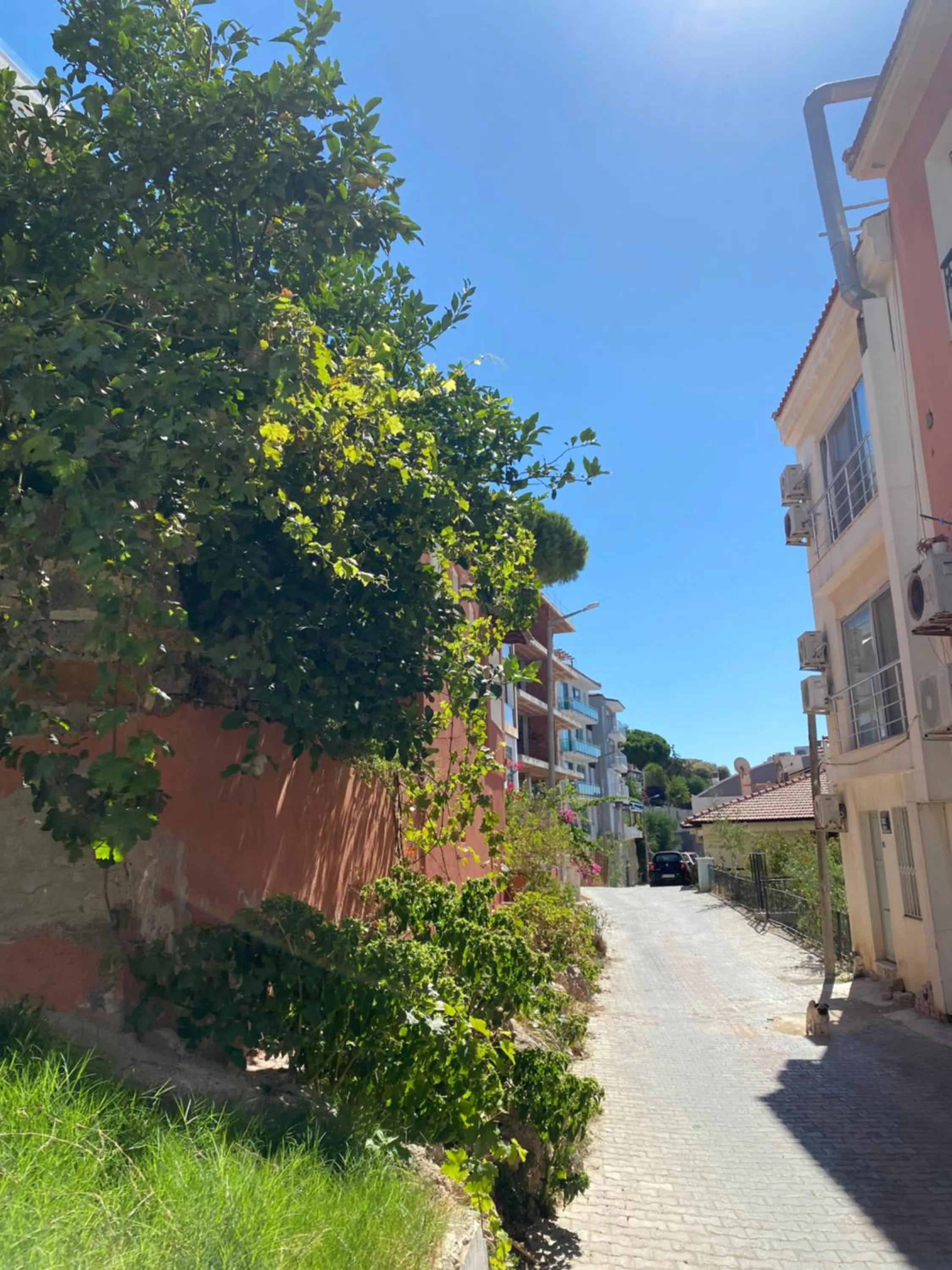Street view in Larimar Hotel Cesme