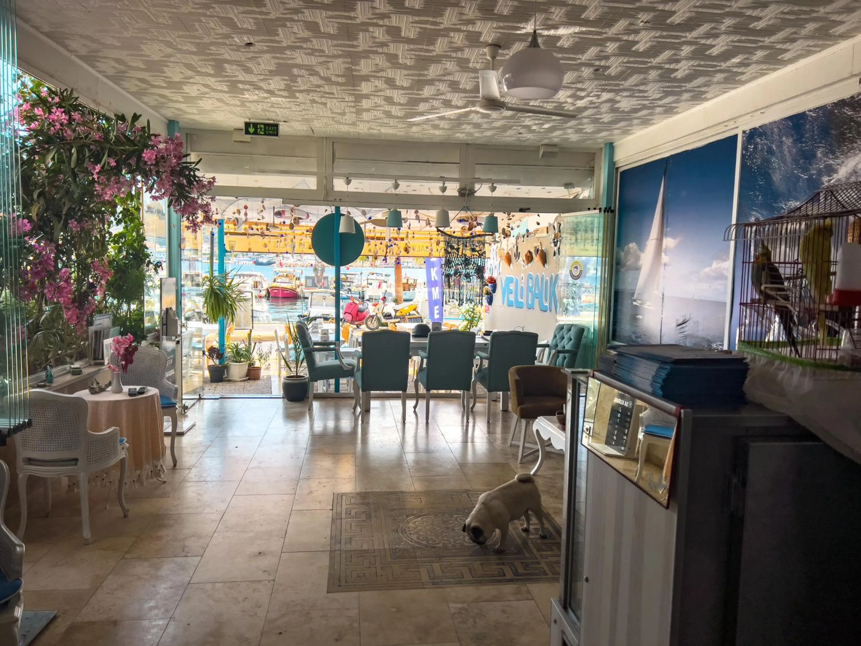 Restaurant/places to eat in Larimar Hotel Cesme