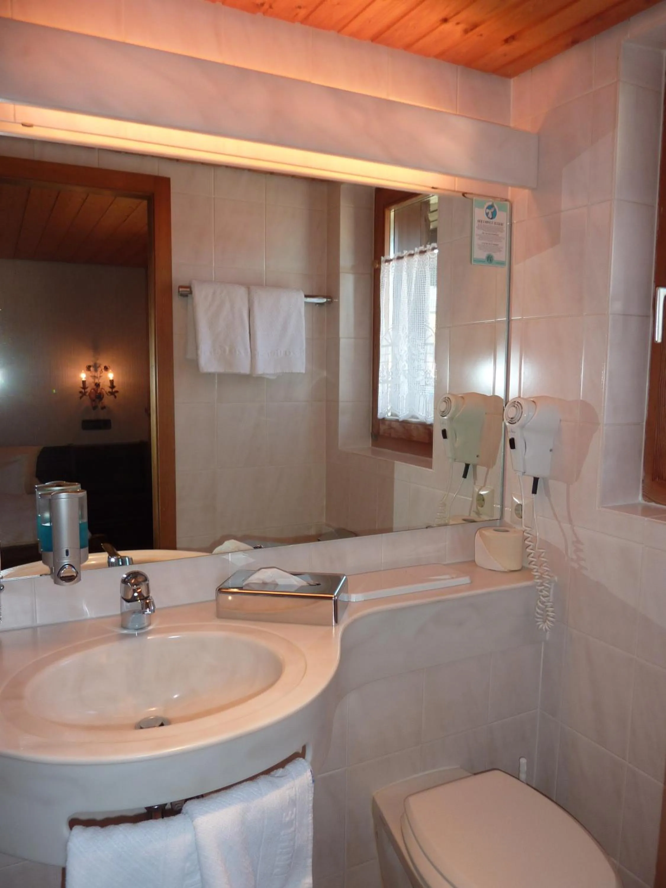 Shower in Landhotel Mühle zu Gersbach