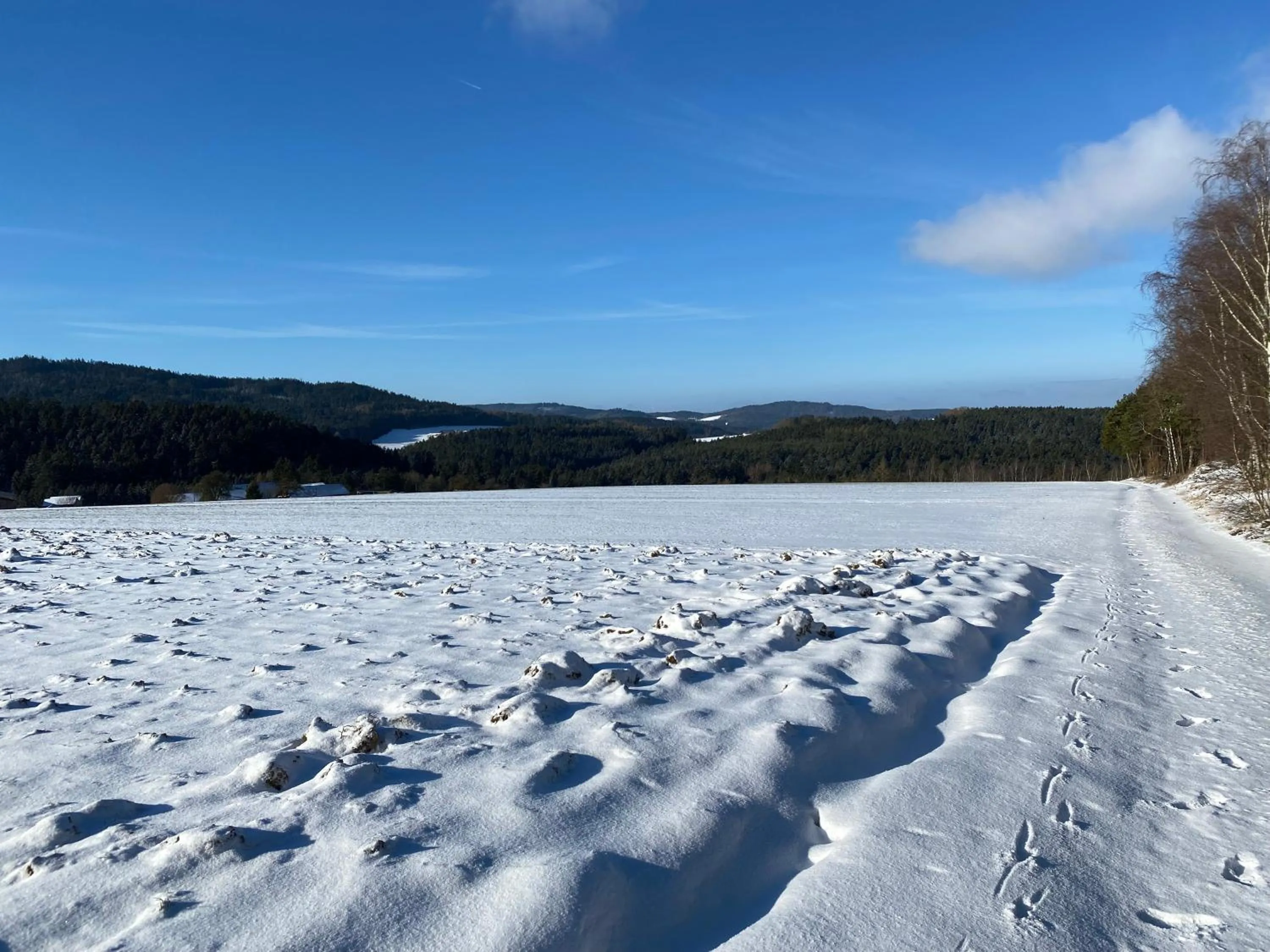Activities in Apartmentanlage am Kellerberg