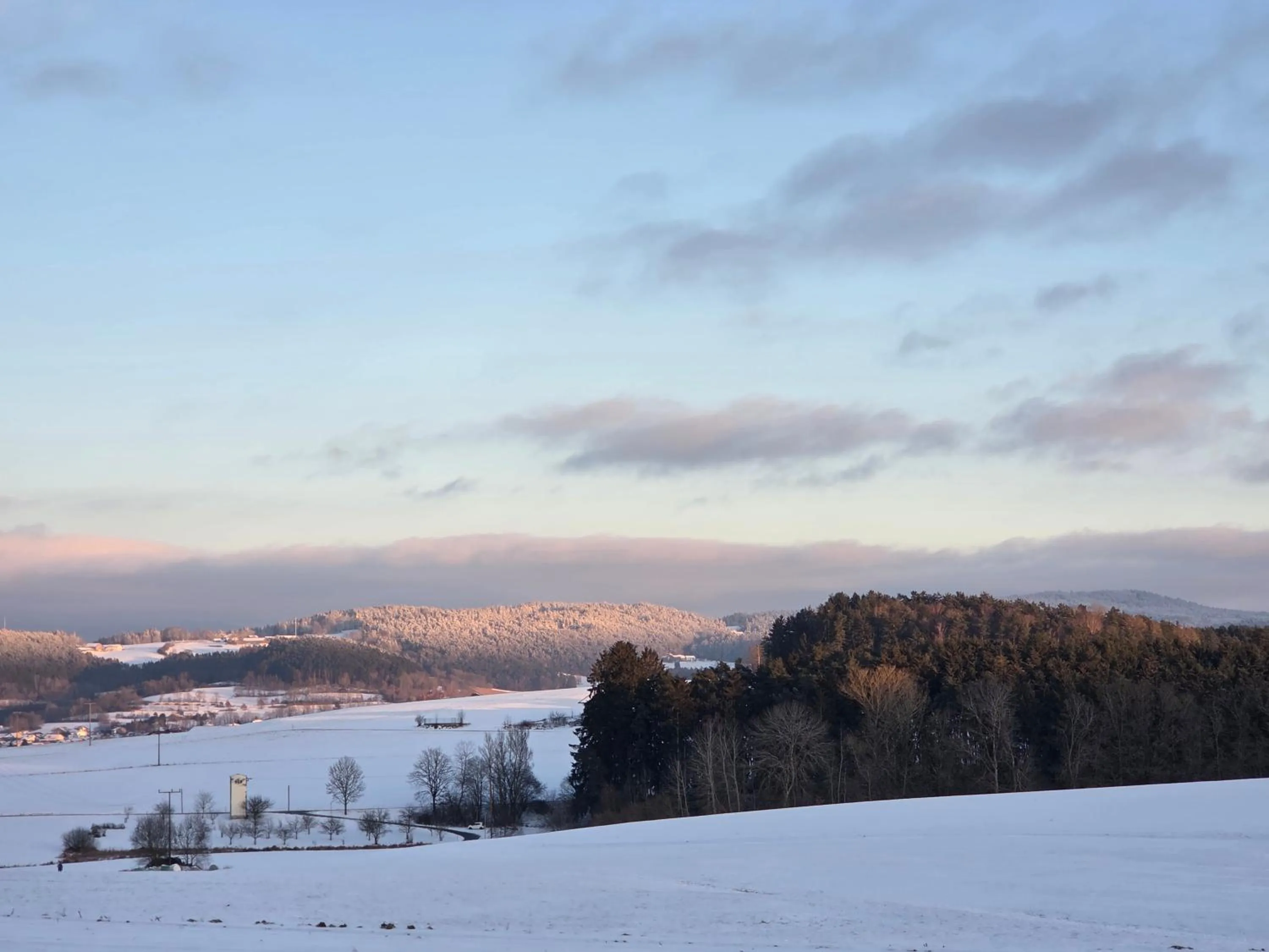 View (from property/room) in Apartmentanlage am Kellerberg