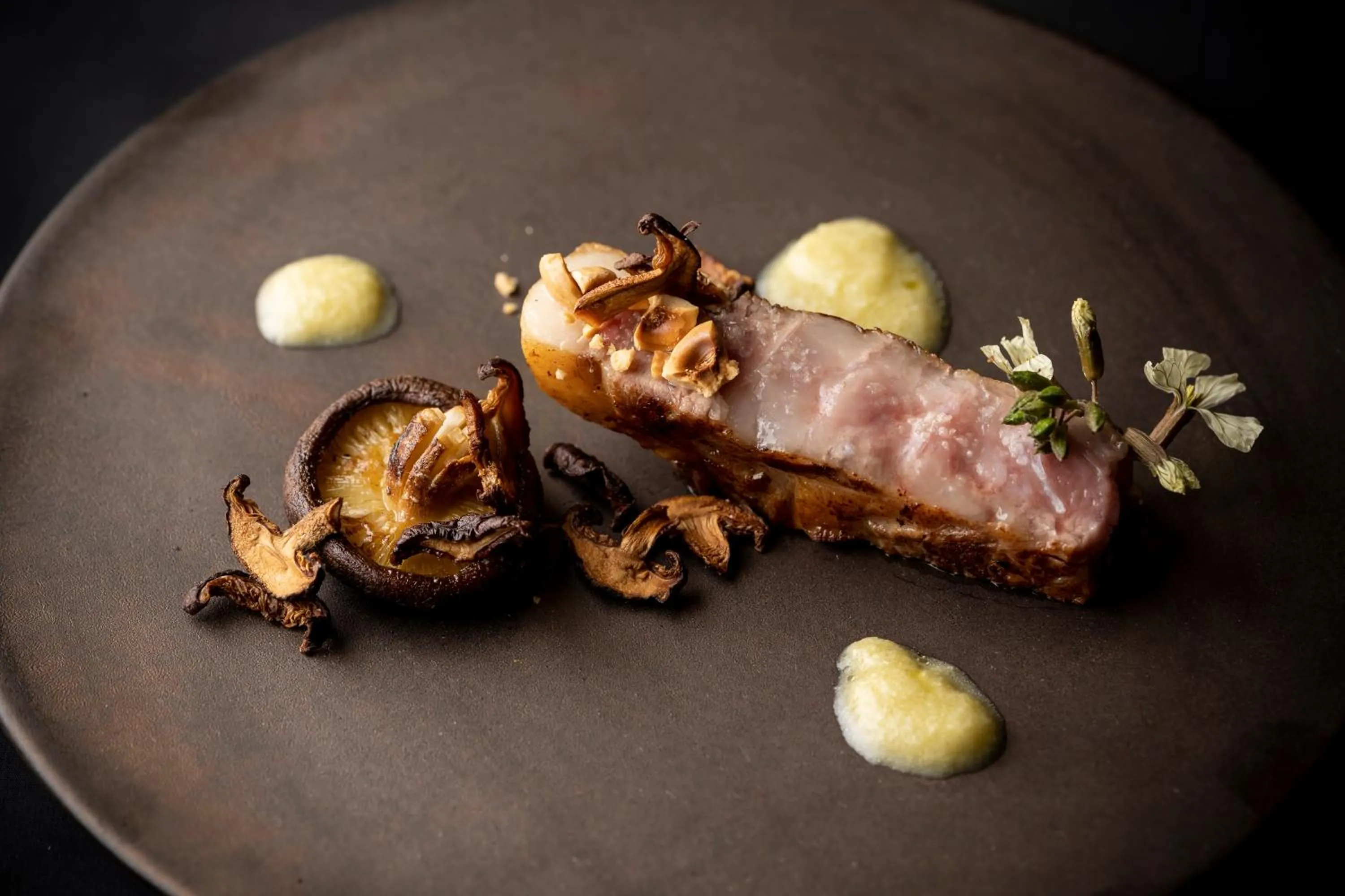 Dinner in LOQUAT西伊豆