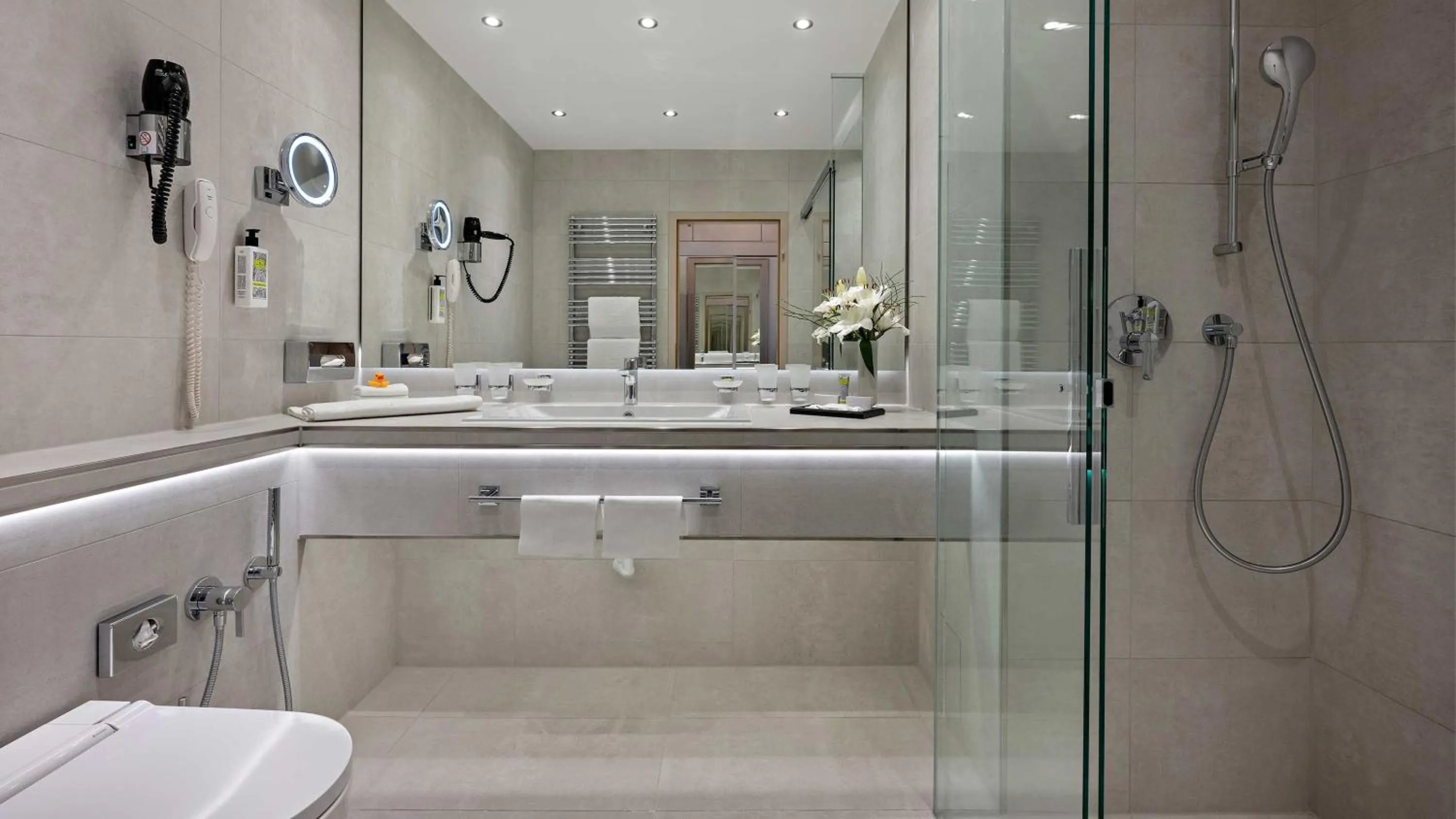 Hotel Europäischer Hof Heidelberg, Bestes Hotel Deutschlands in historischer Architektur