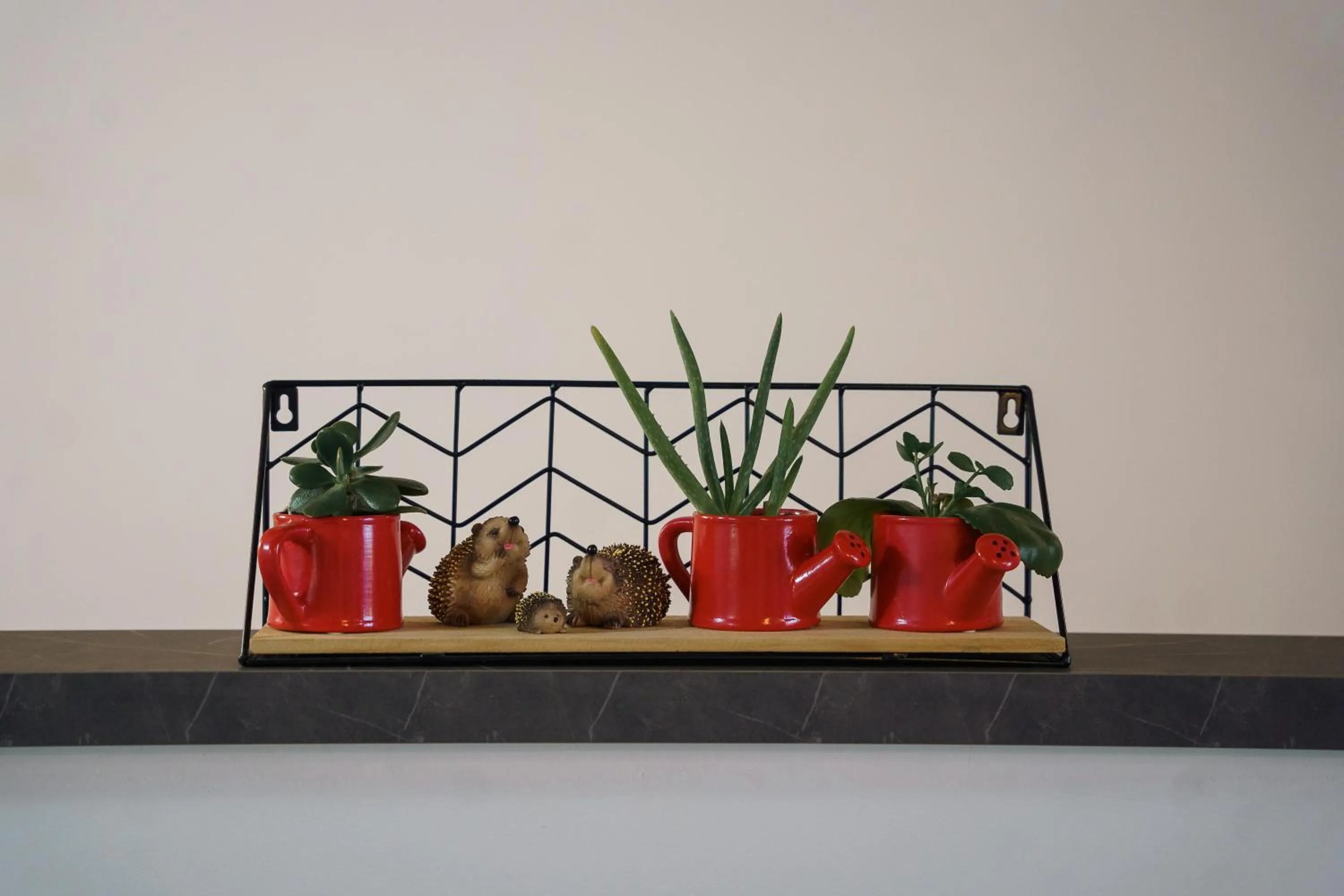 Decorative detail in Tana del Riccio