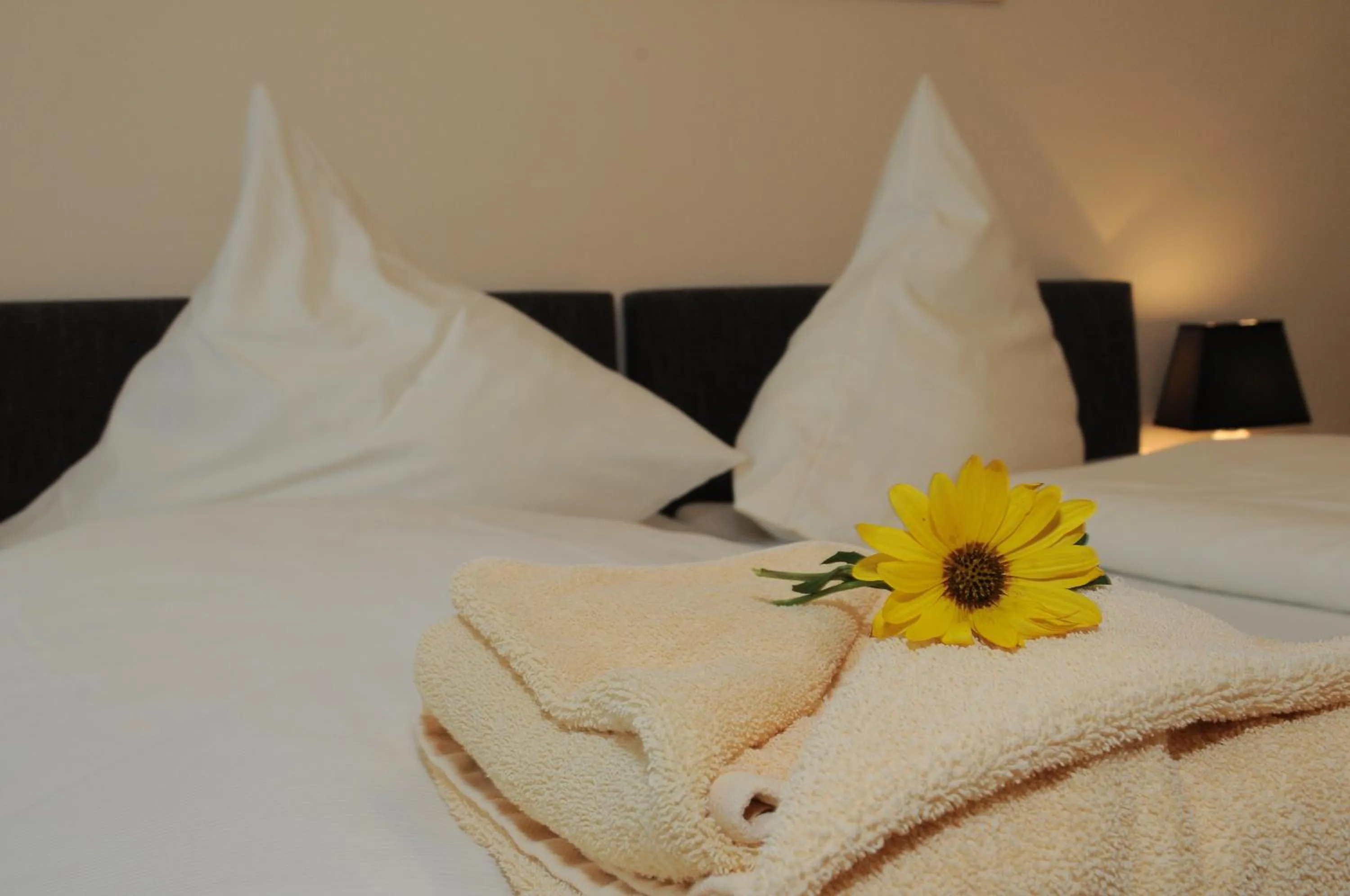 TV and multimedia, Bed in Hotel Restaurant Doppeladler