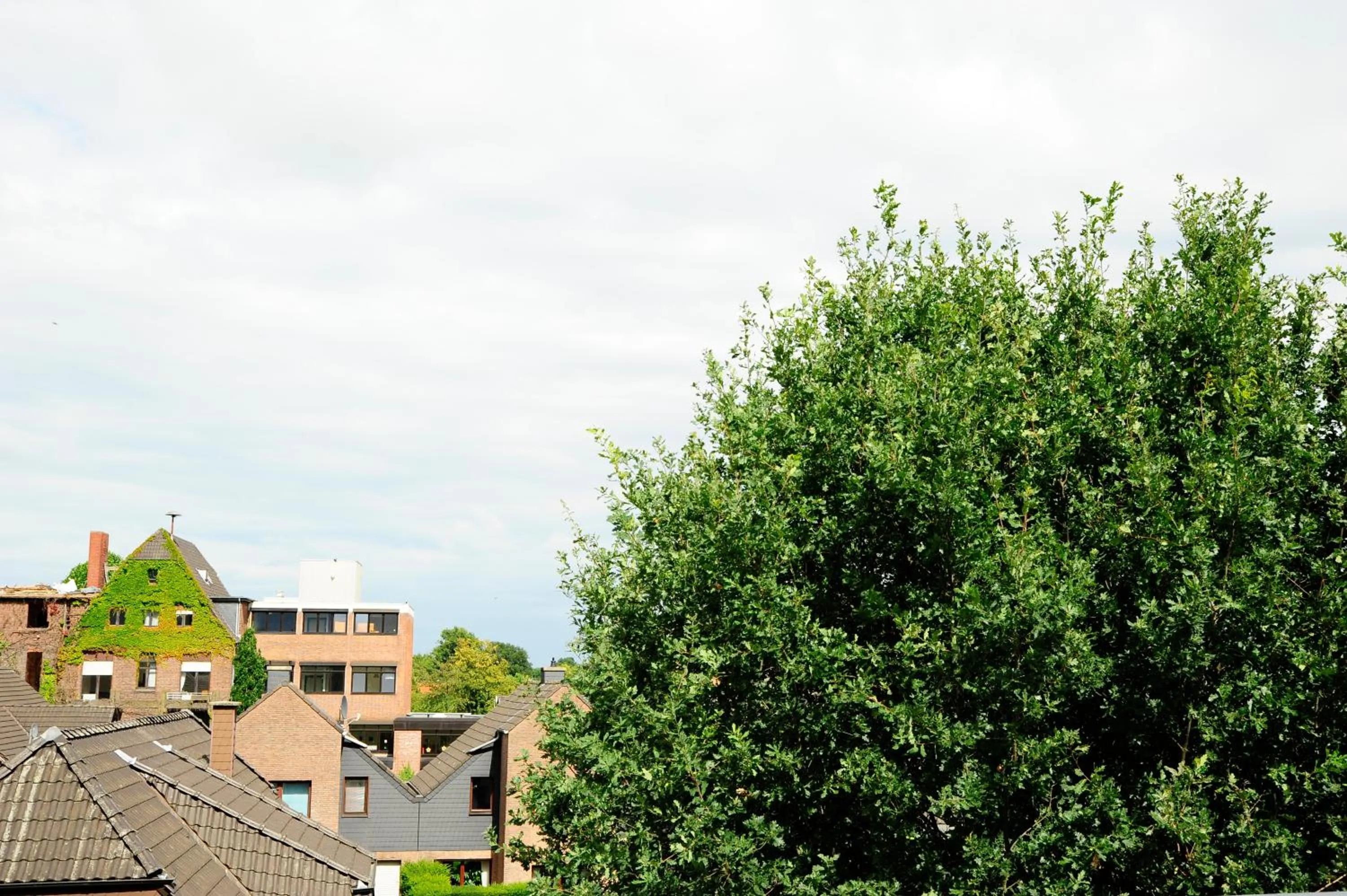 Patio in Hotel Restaurant Doppeladler