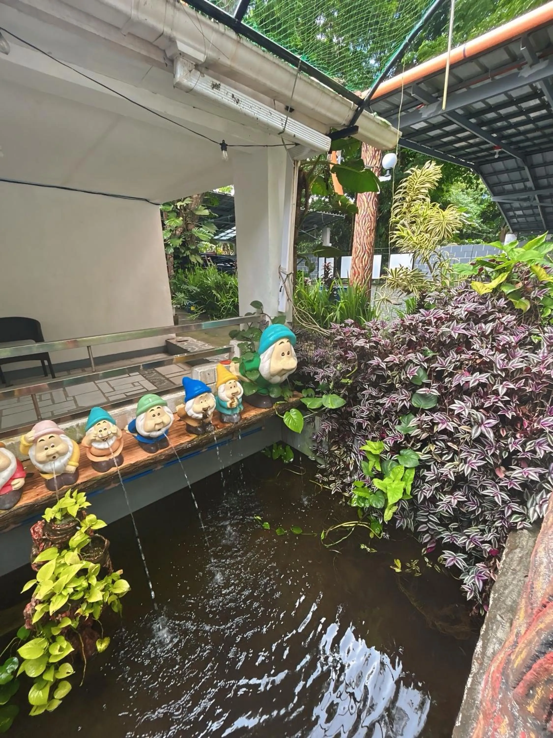 Purple Orchid Bed and Breakfast