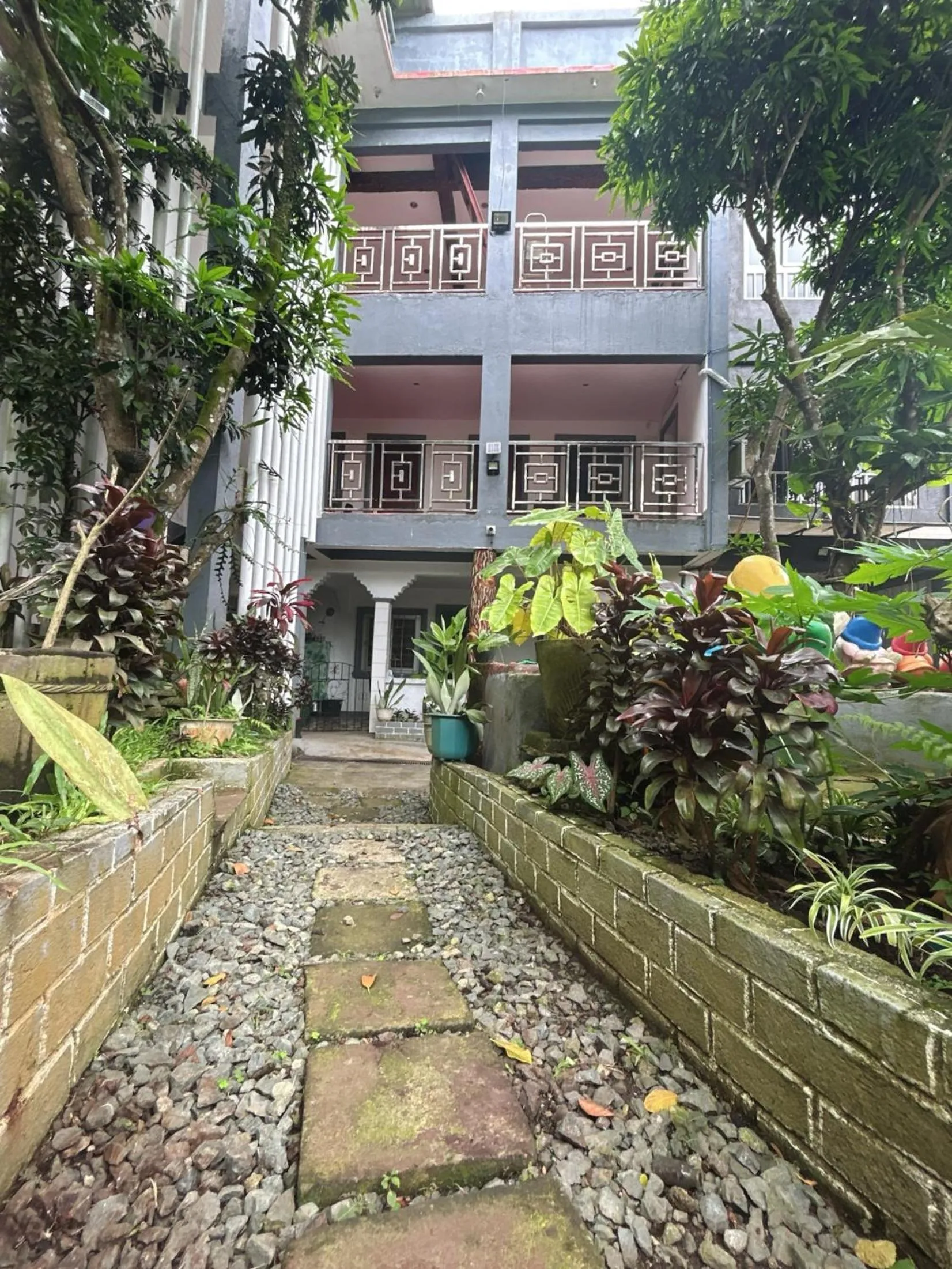 Purple Orchid Bed and Breakfast