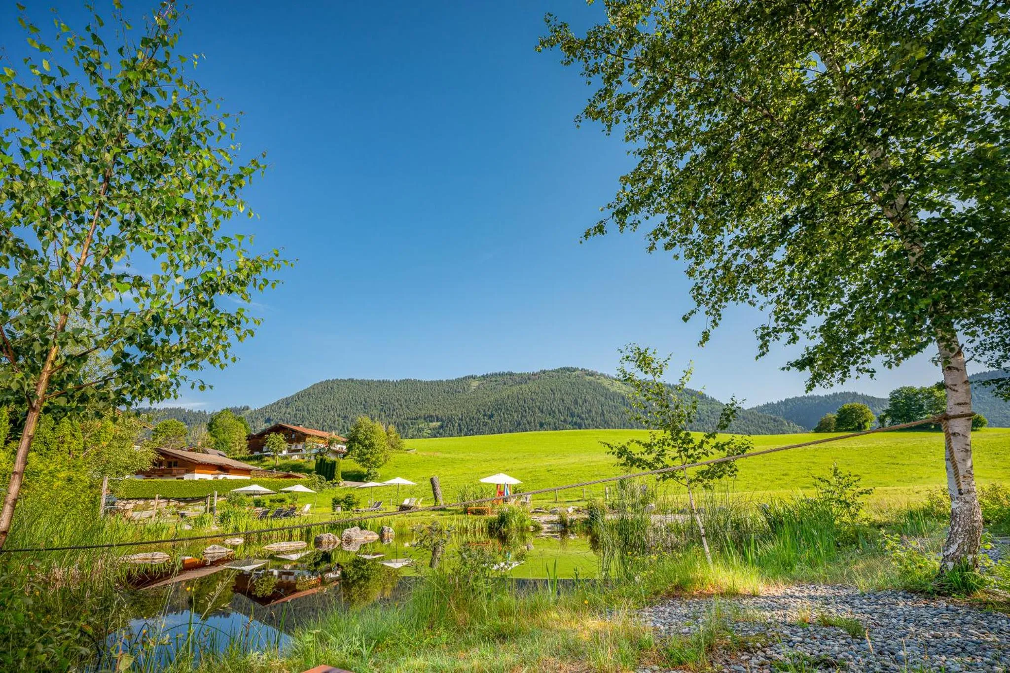 Garden in Hotel Frohnatur