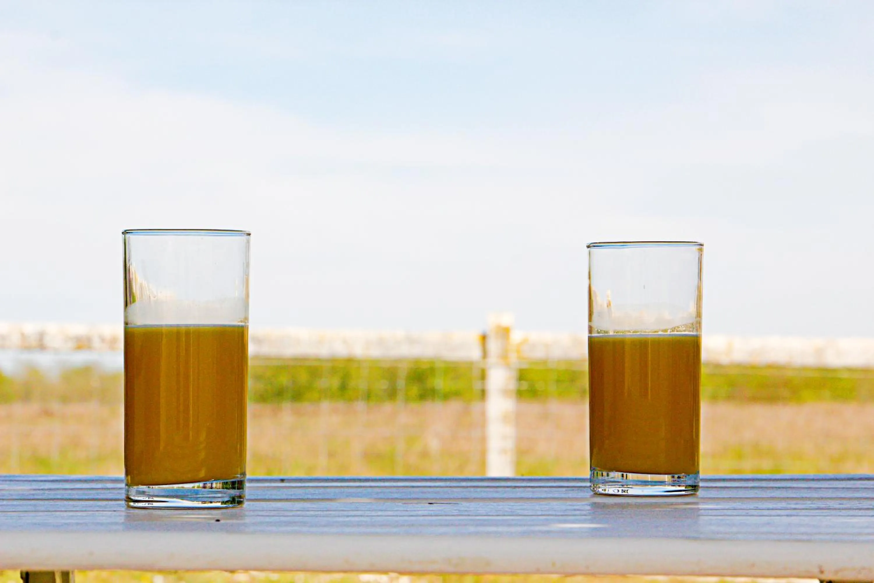 Drinks in LA VEUZAINE