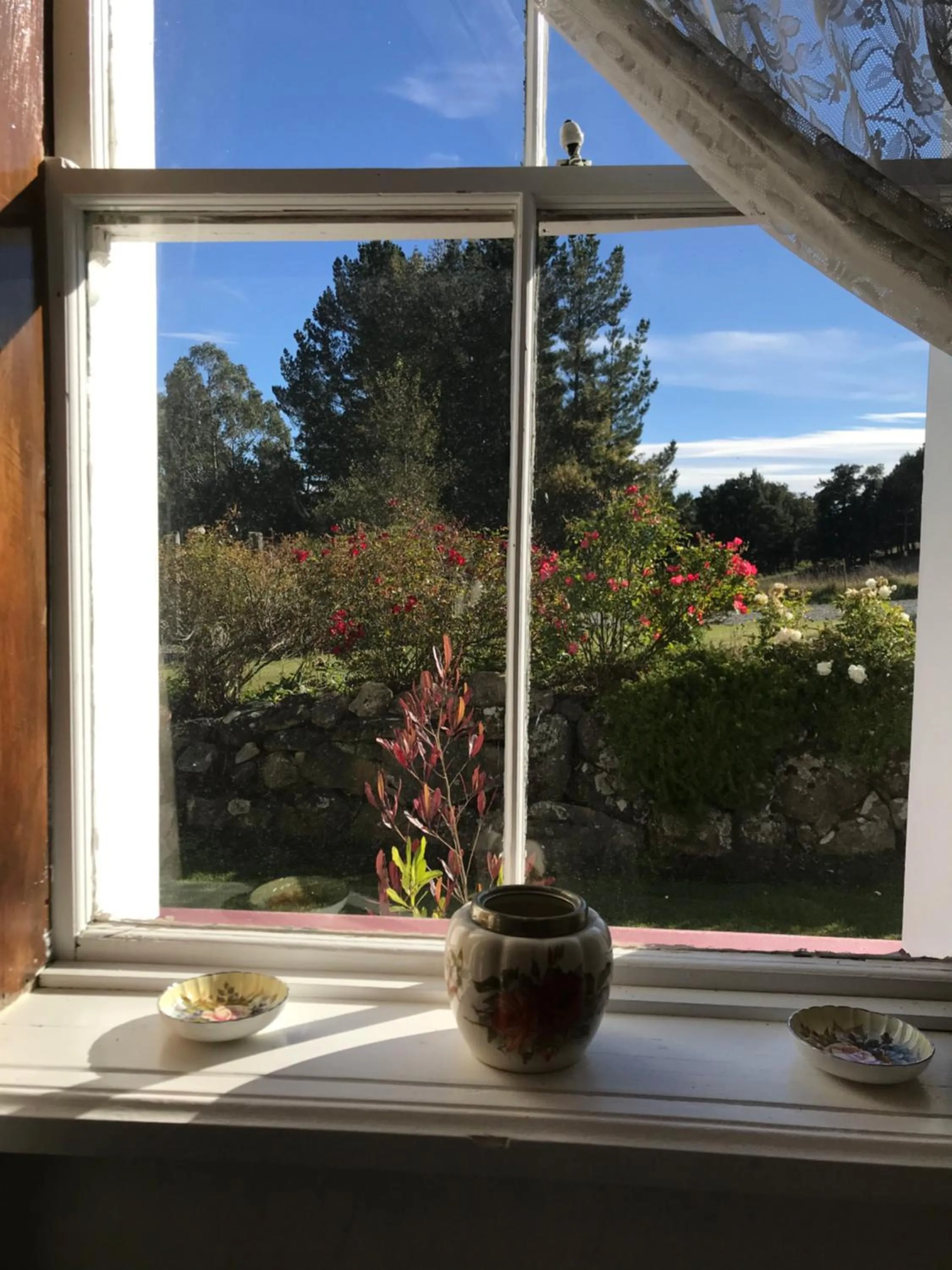 Garden view in Tophouse Historical Inn Bed and breakfast