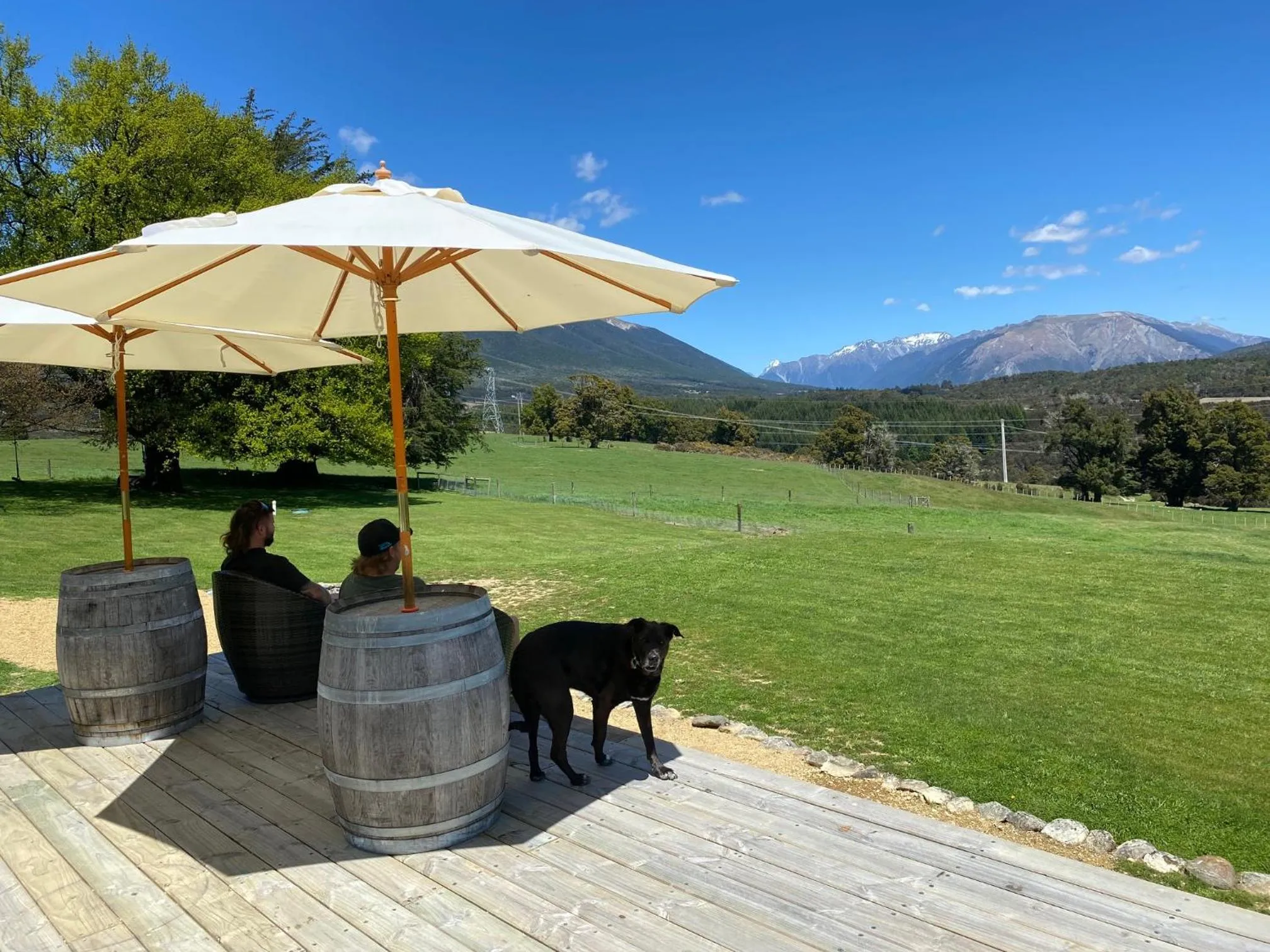 Mountain view in Tophouse Historical Inn Bed and breakfast