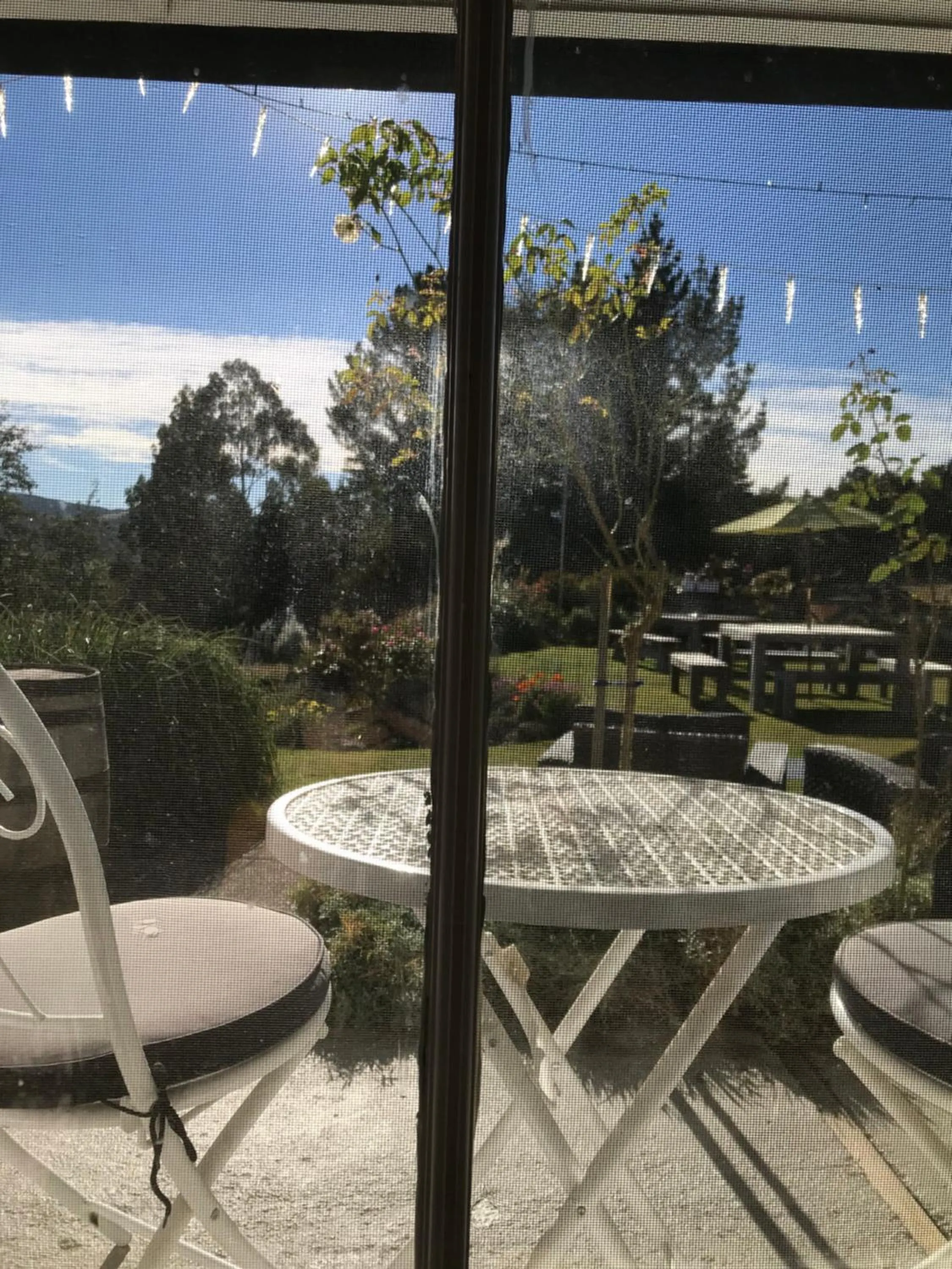 Garden view in Tophouse Historical Inn Bed and breakfast