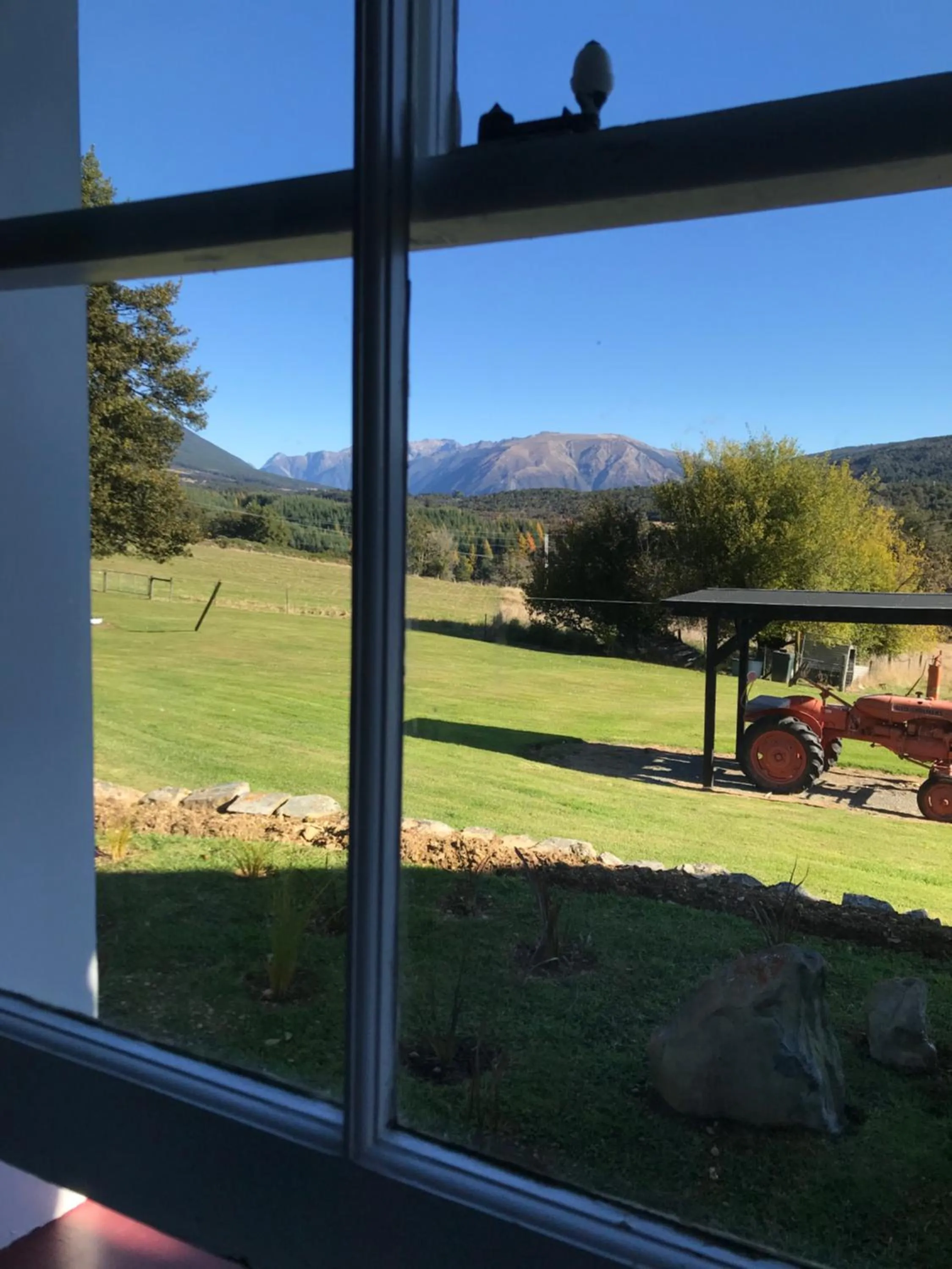 Garden view in Tophouse Historical Inn Bed and breakfast