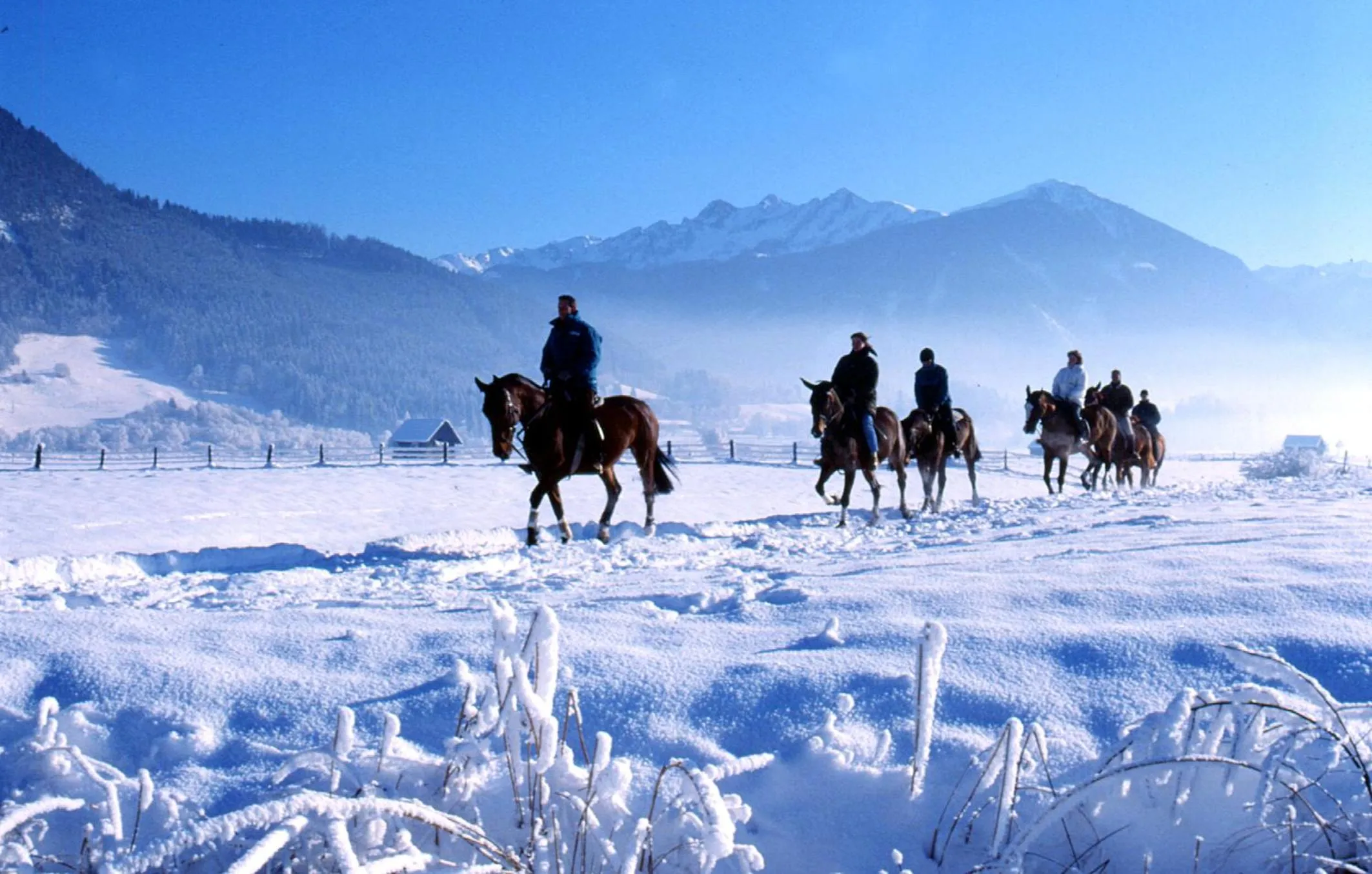 Horse-riding in Hotel Gasthof Mitteregger - BEST PLACE in town with summercard included