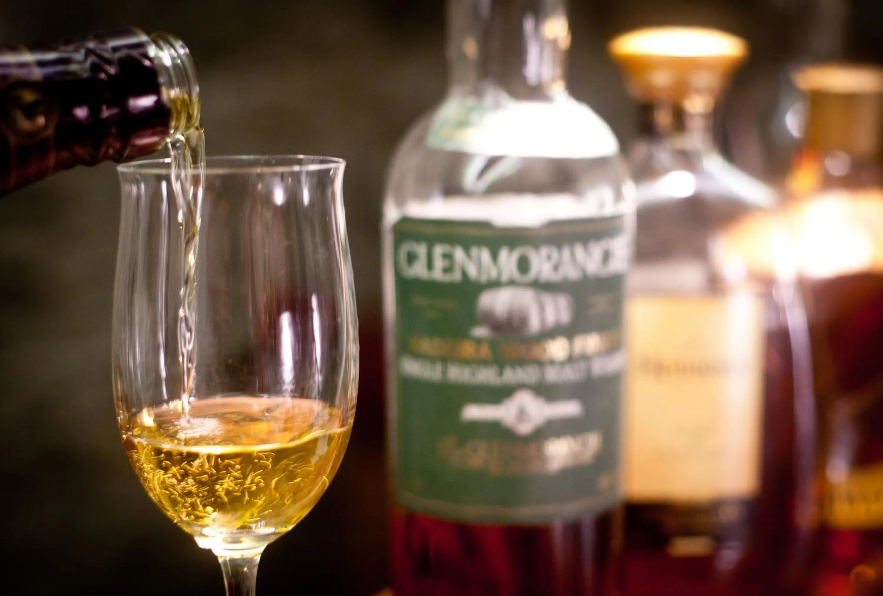 Restaurant/places to eat in Hotel Gasthof Mitteregger - BEST PLACE in town with summercard included