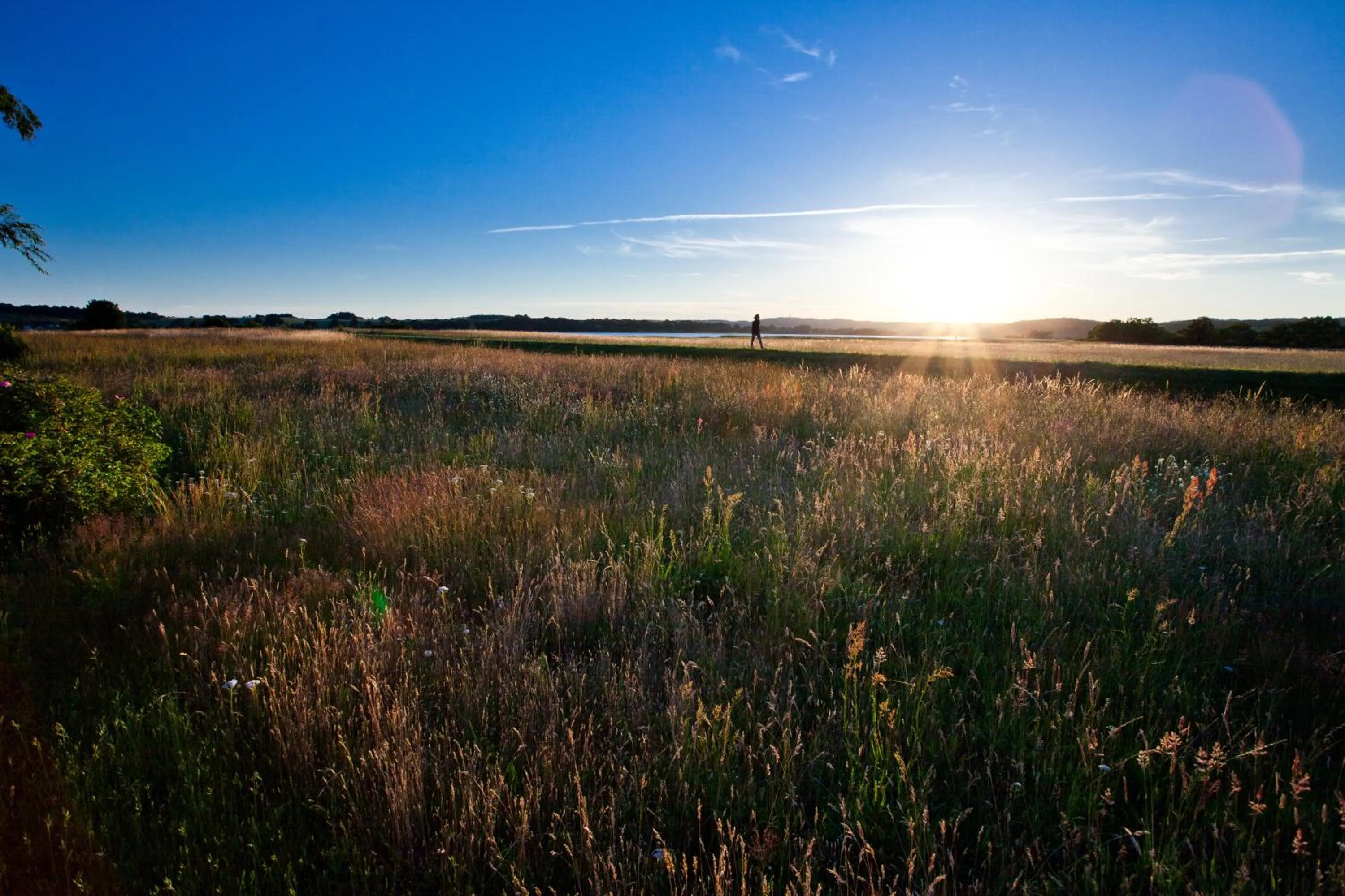 Area and facilities in Hotel Am See
