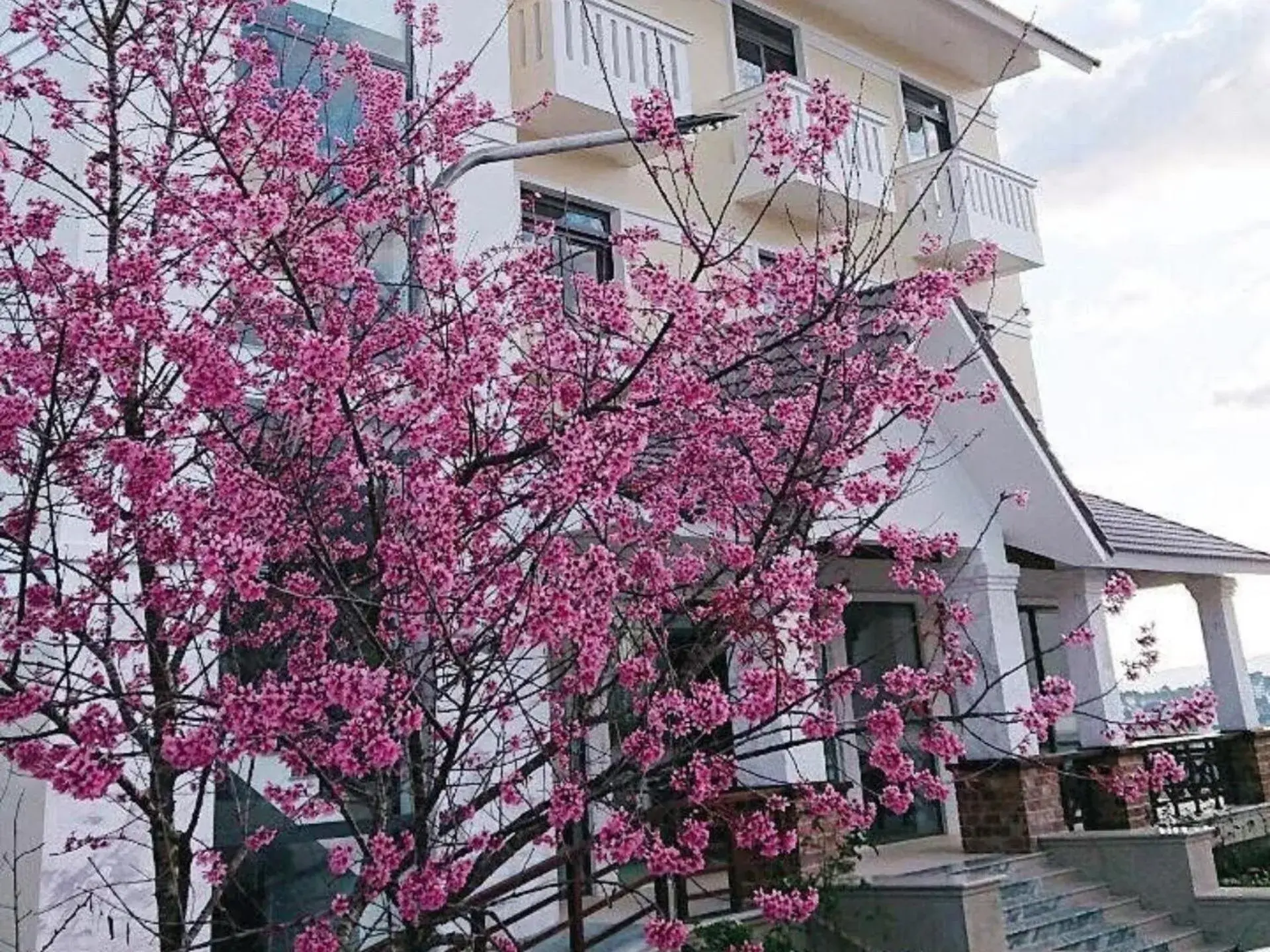 Property building in Thanh Loan 2 Da Lat Hotel Property building in Thanh Loan 2 Da Lat Hotel